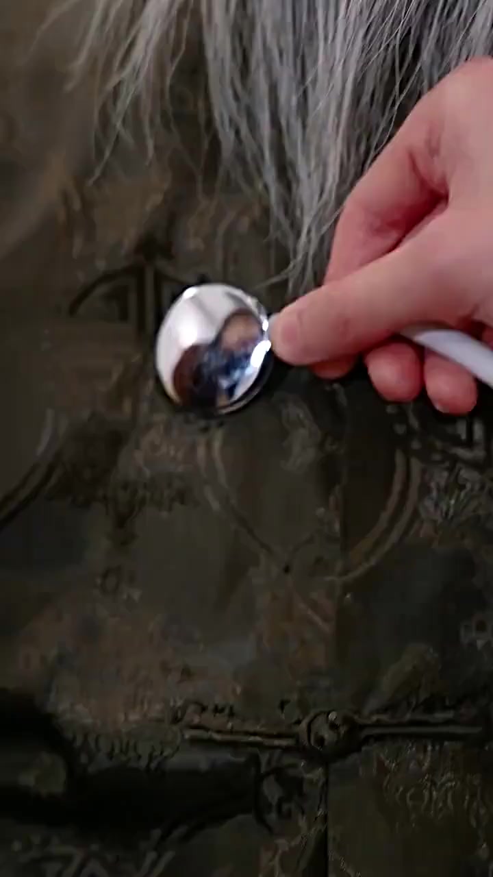 009