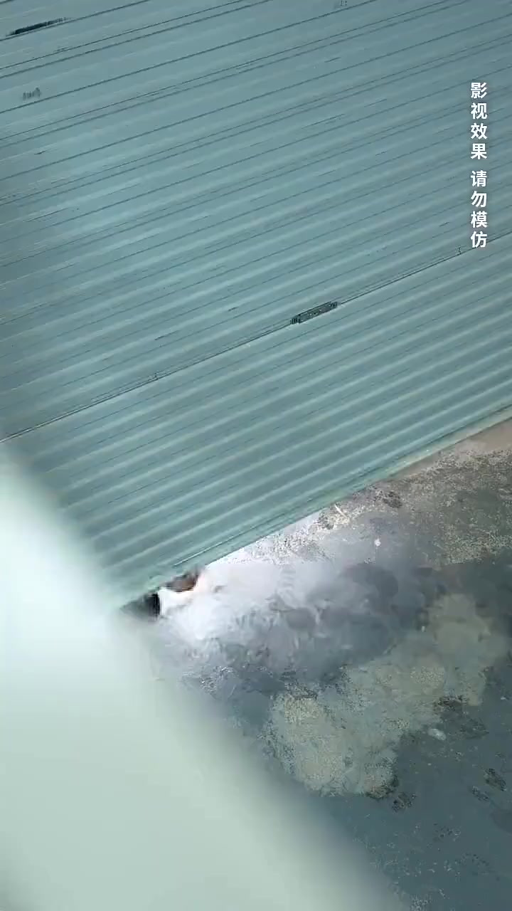 Episode 21