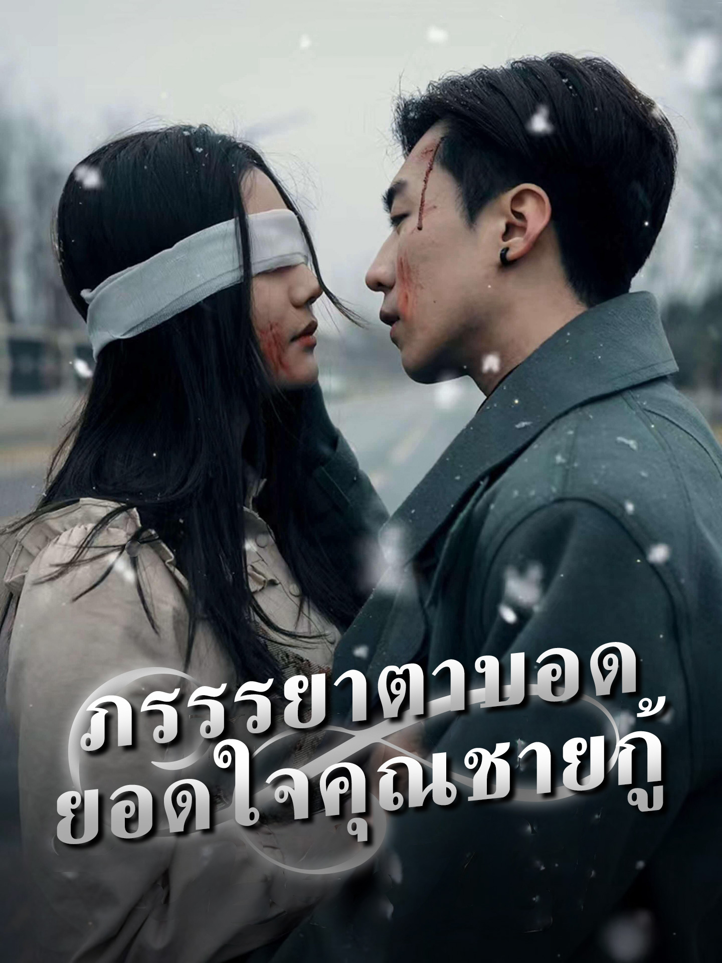 ภรรรยาตาบอด ยอดใจคุณชายกู้