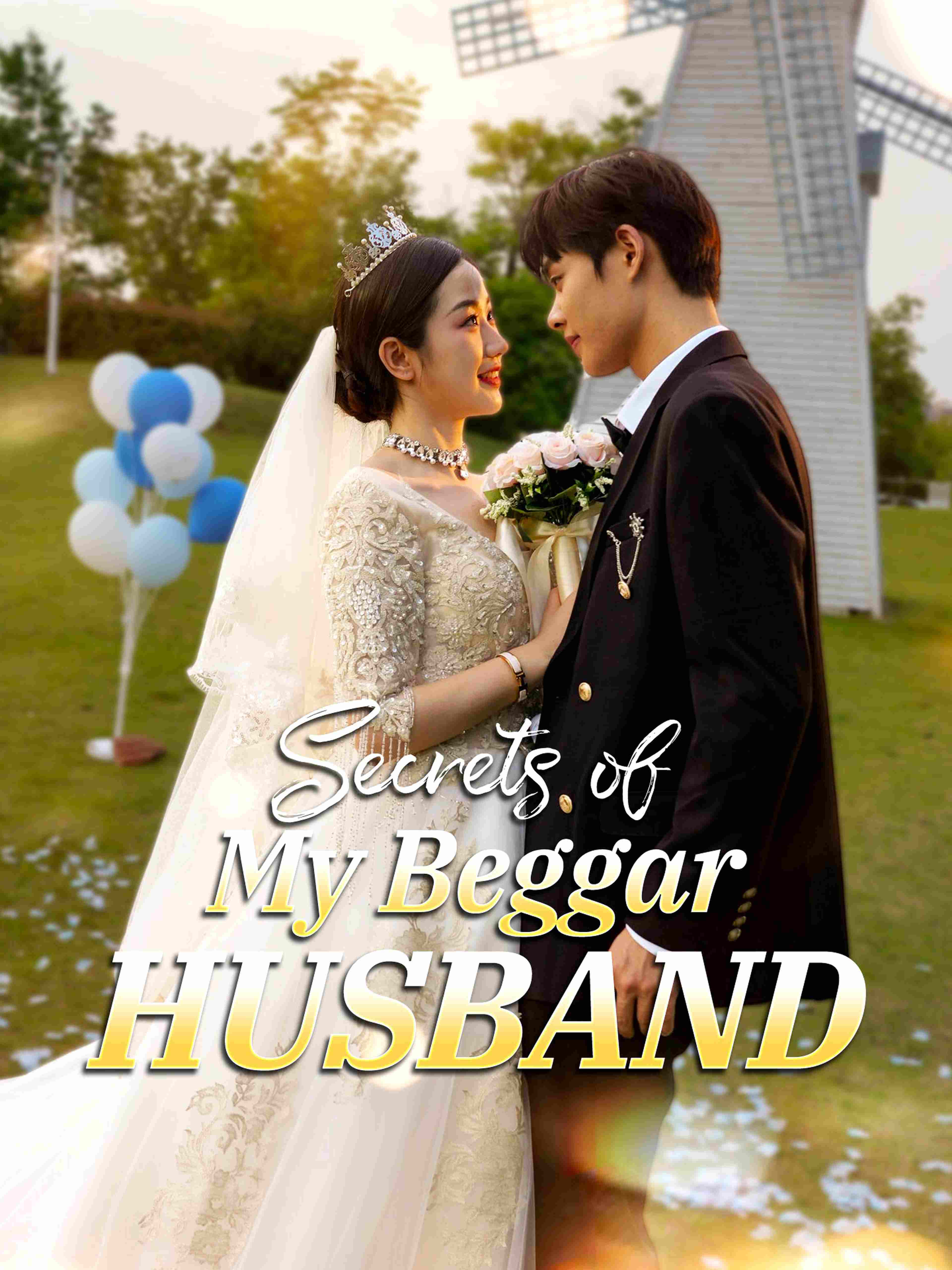 Secrets Of My Beggar Husband