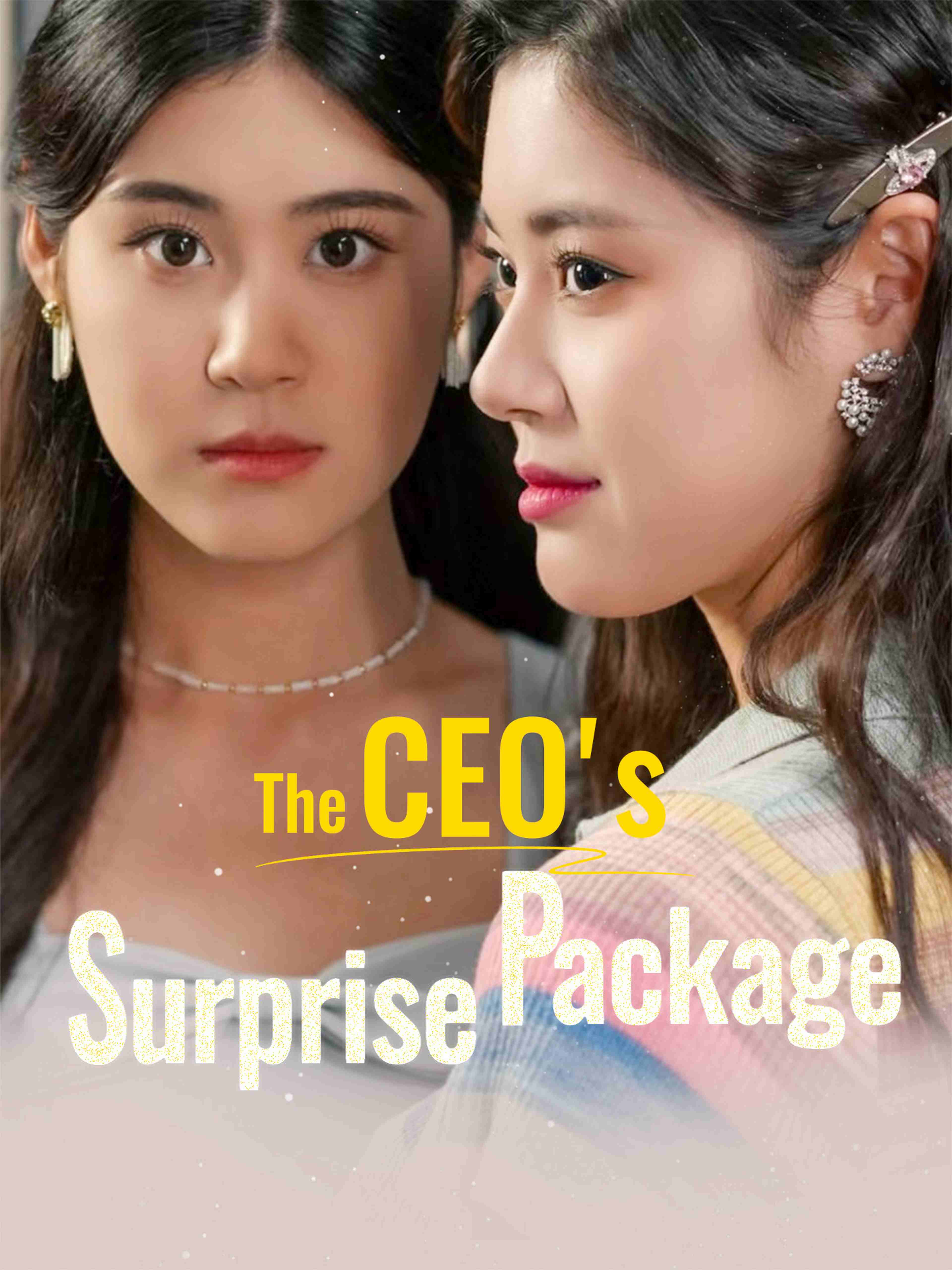 The CEO's Surprise Package