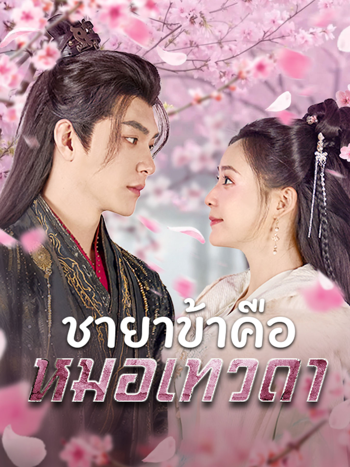 ชายาข้าคือหมอเทวดา