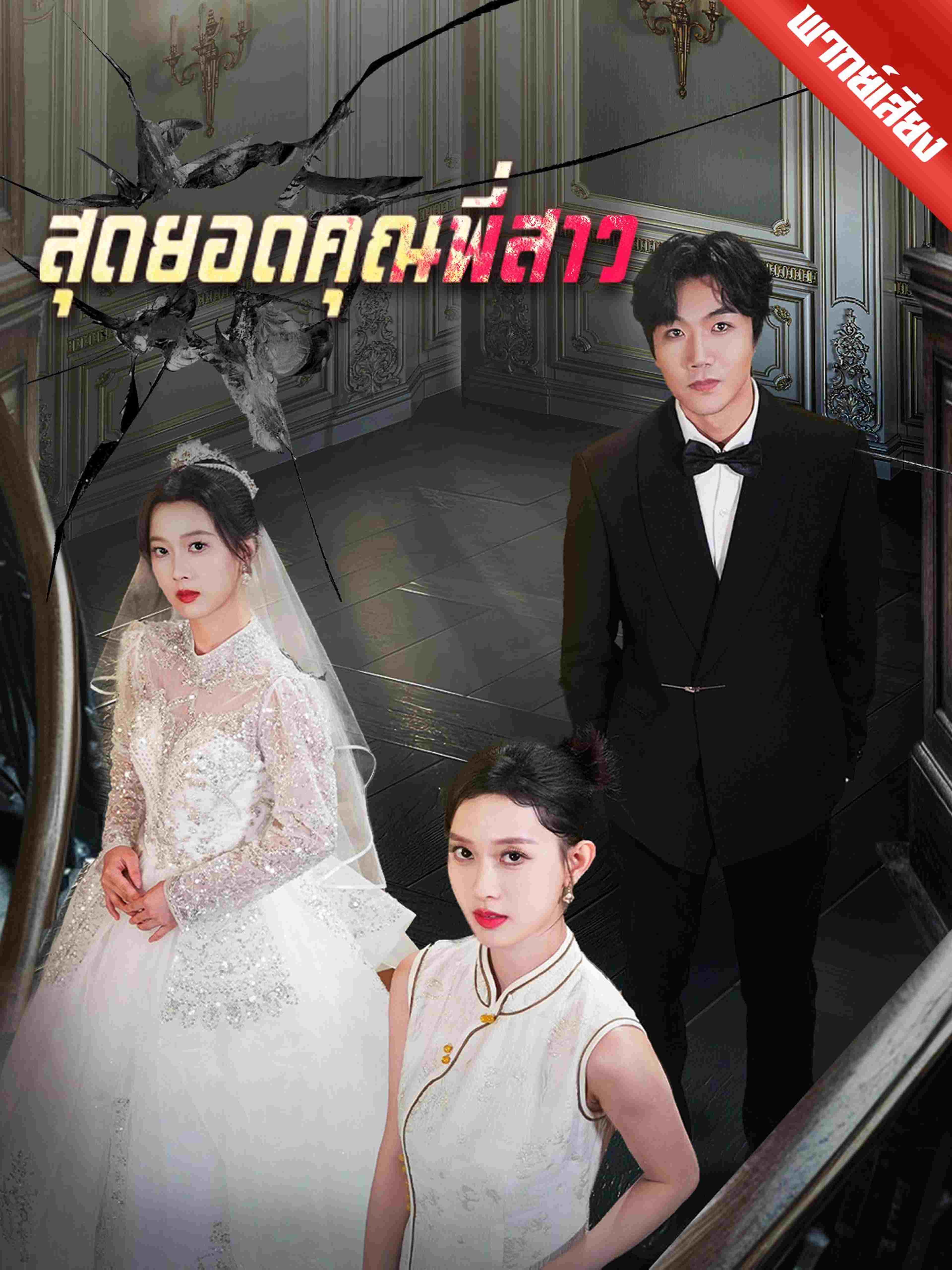 พากย์เสียง สุดยอดคุณพี่สาว