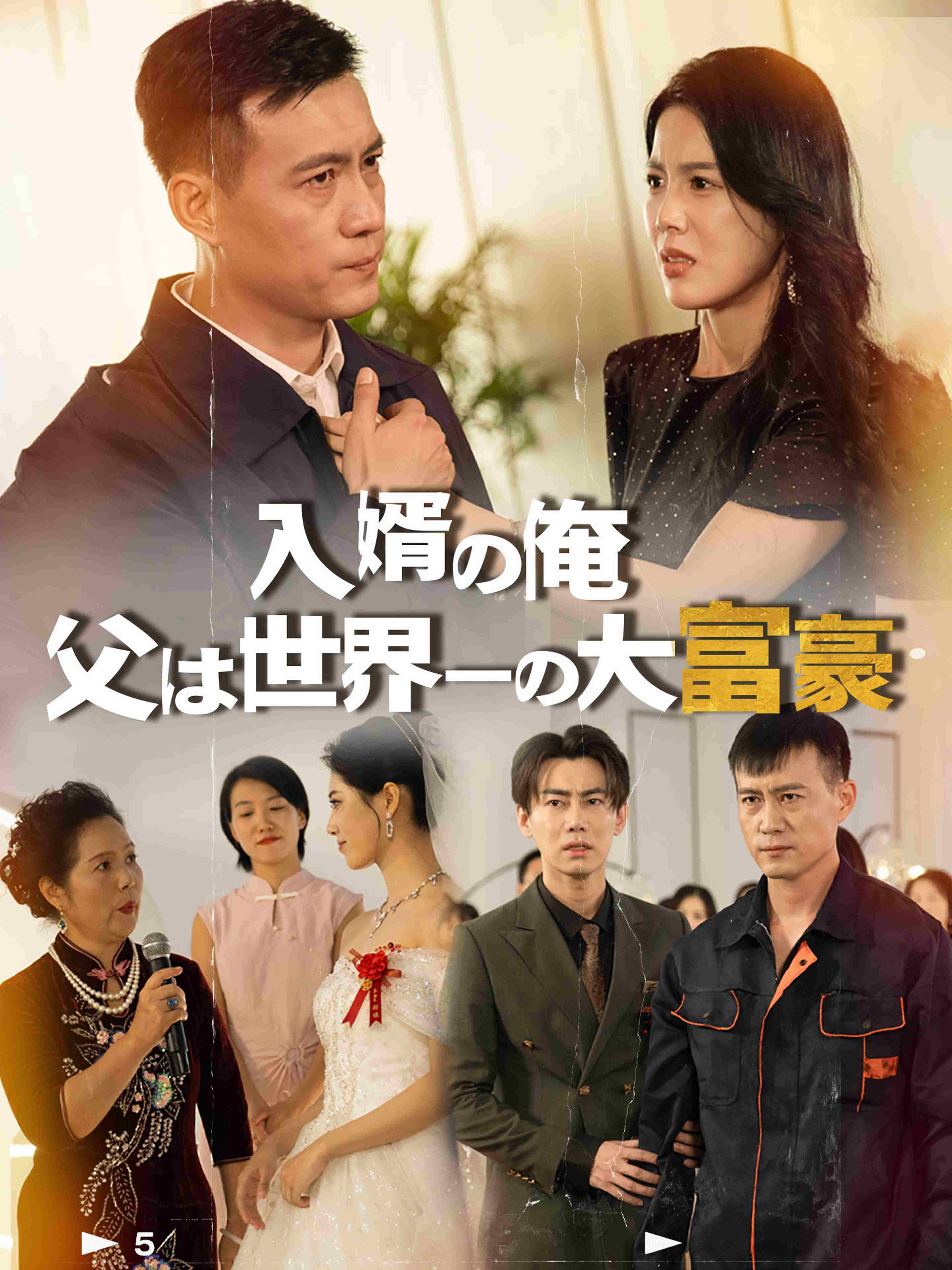 入婿の俺、父は世界一の大富豪