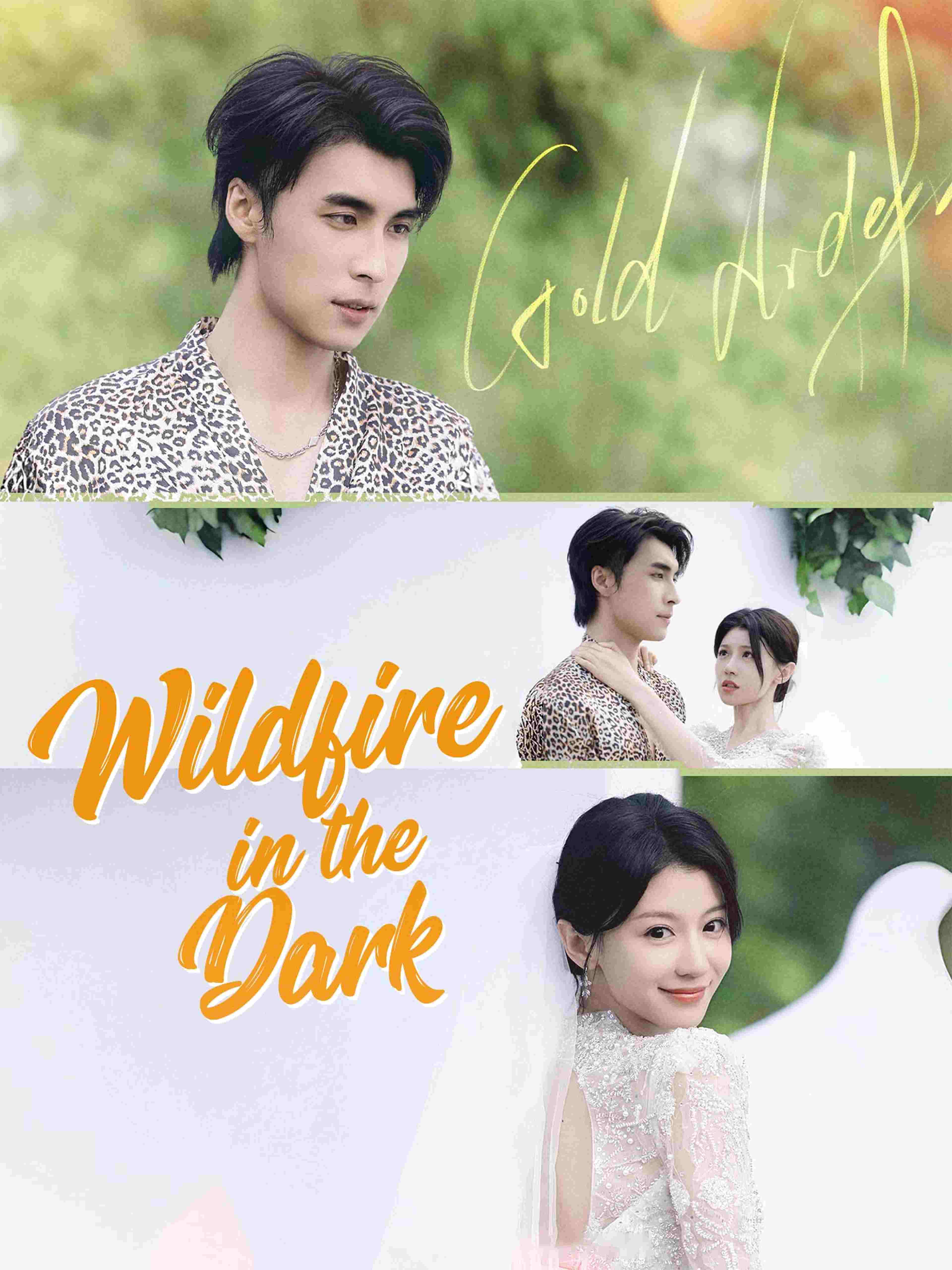 Wildfire In The Dark
