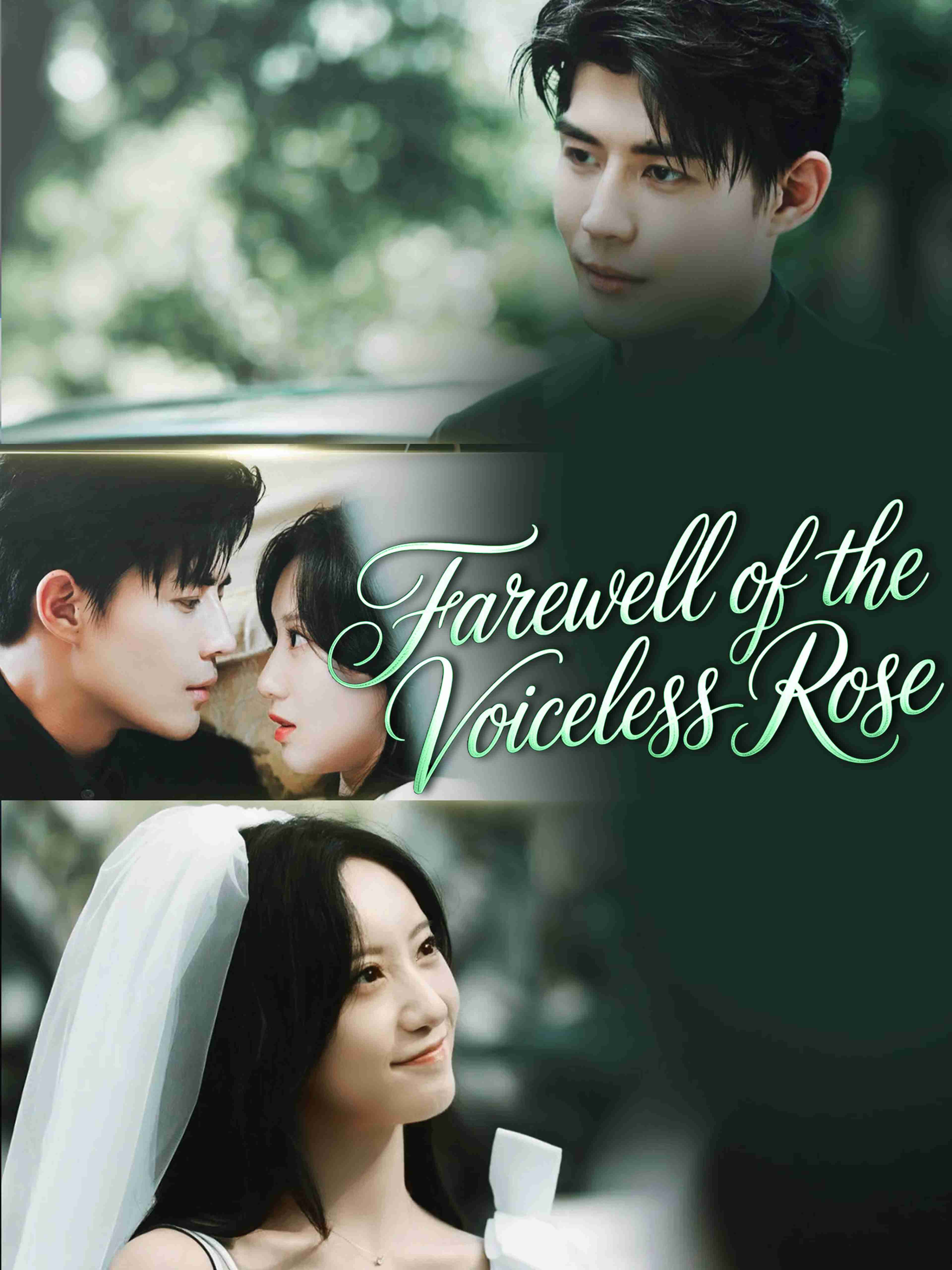 Farewell Of The Voiceless Rose