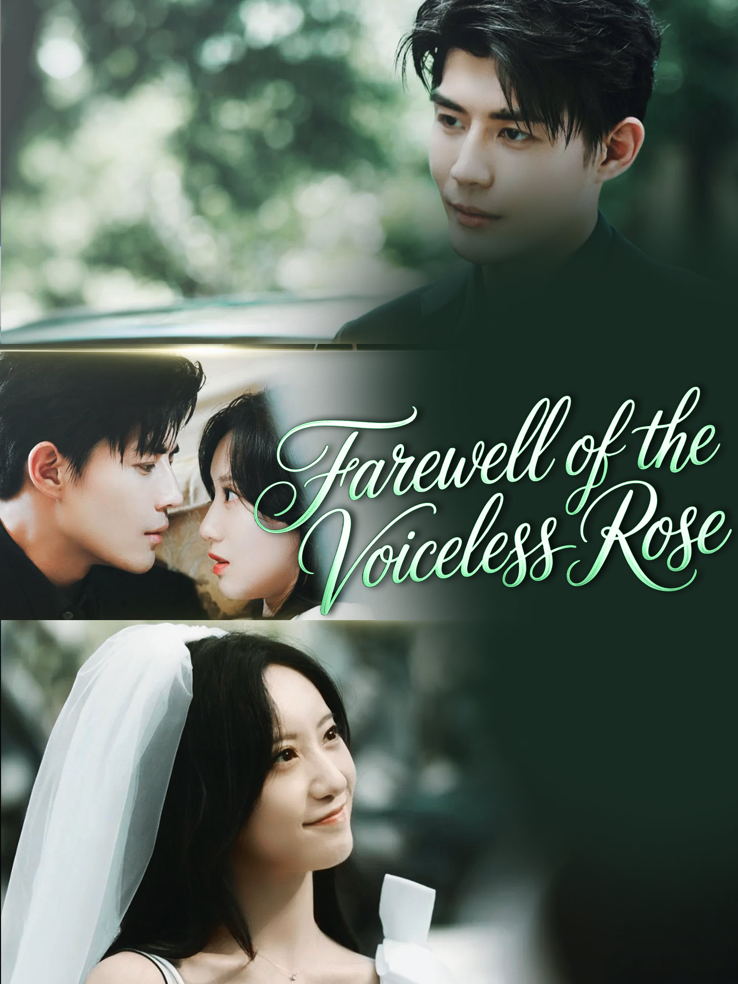 Farewell of the Voiceless Rose