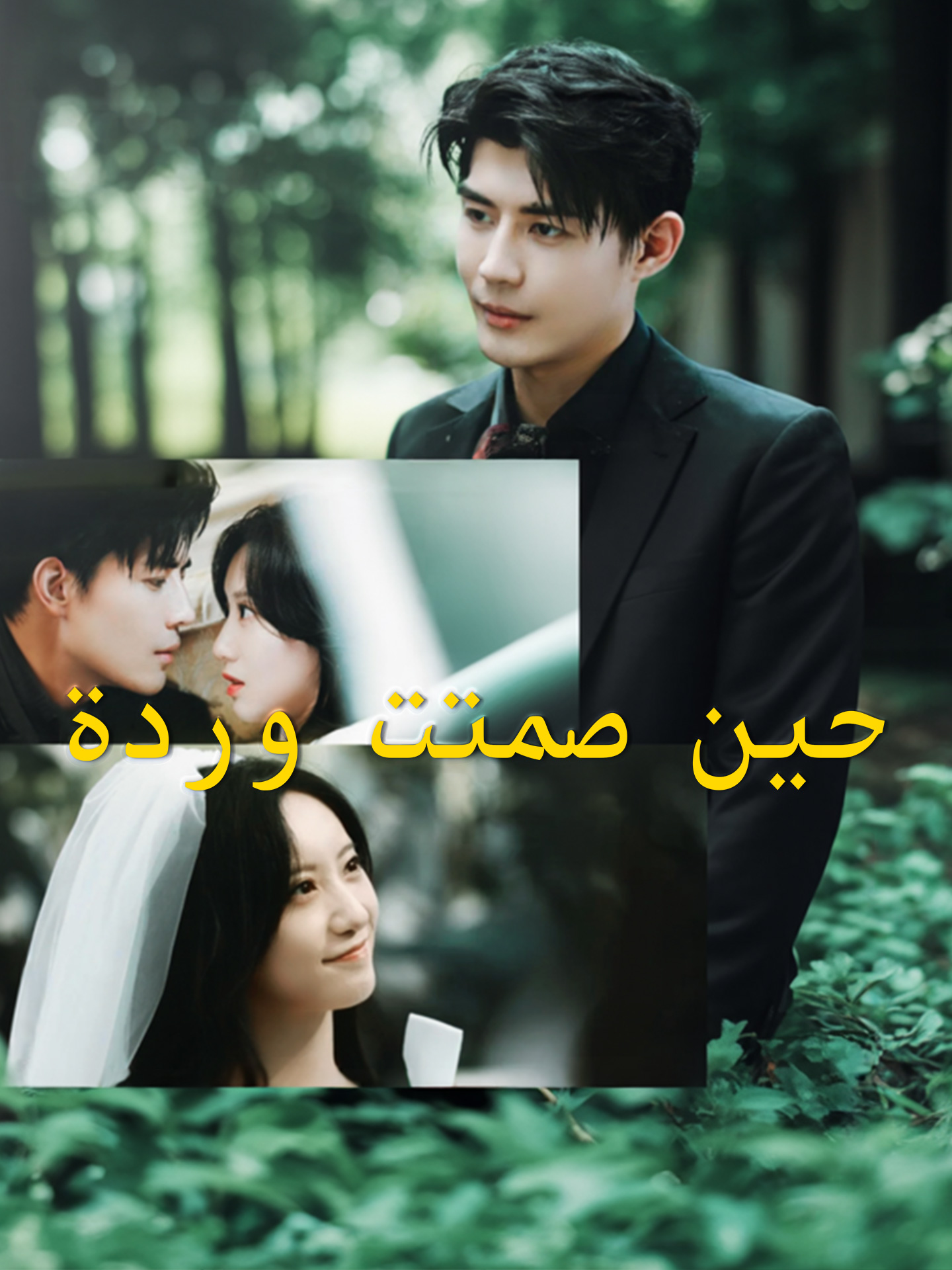 حين صمتت وردة