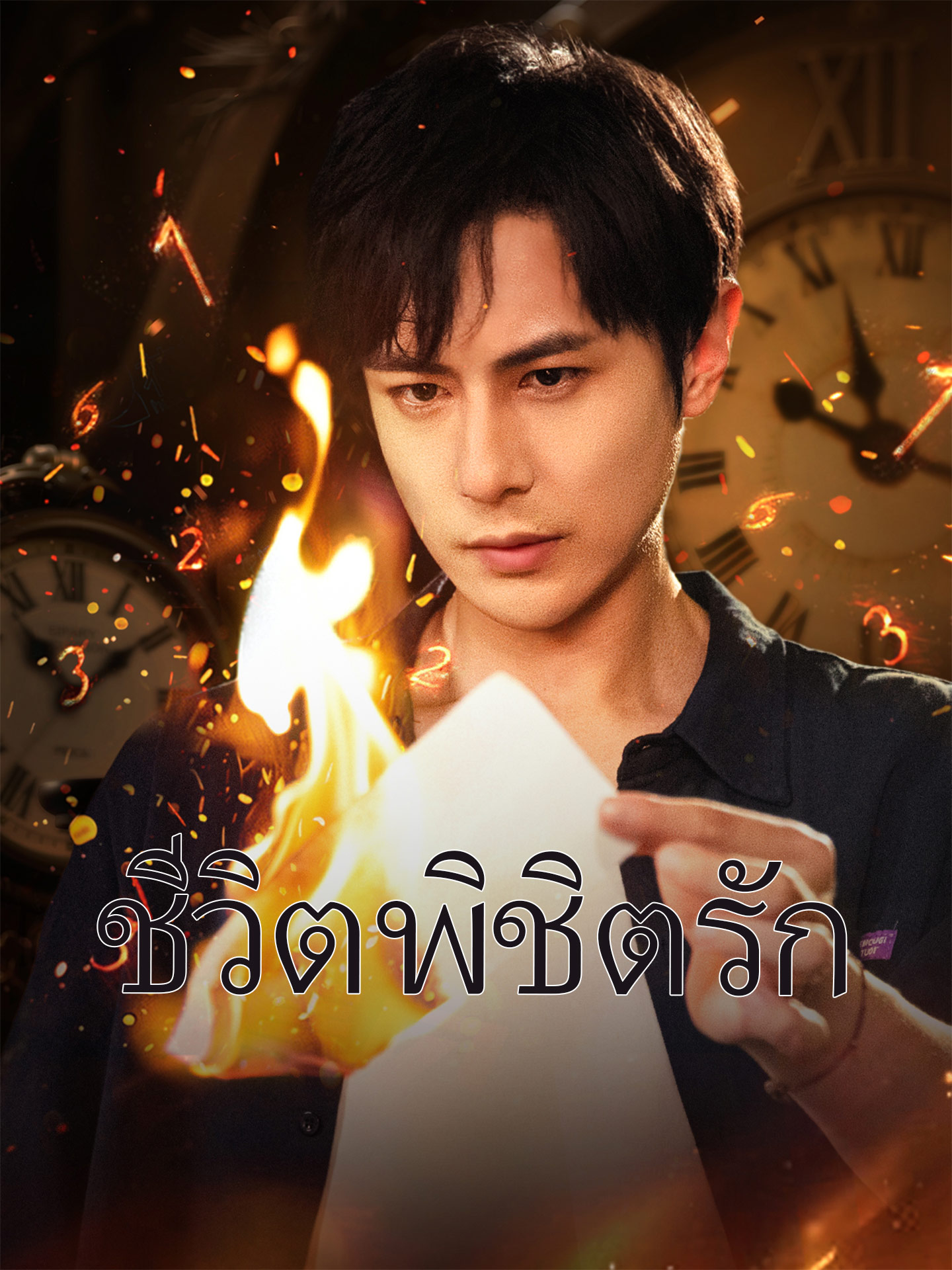 ชีวิตพิชิตรัก