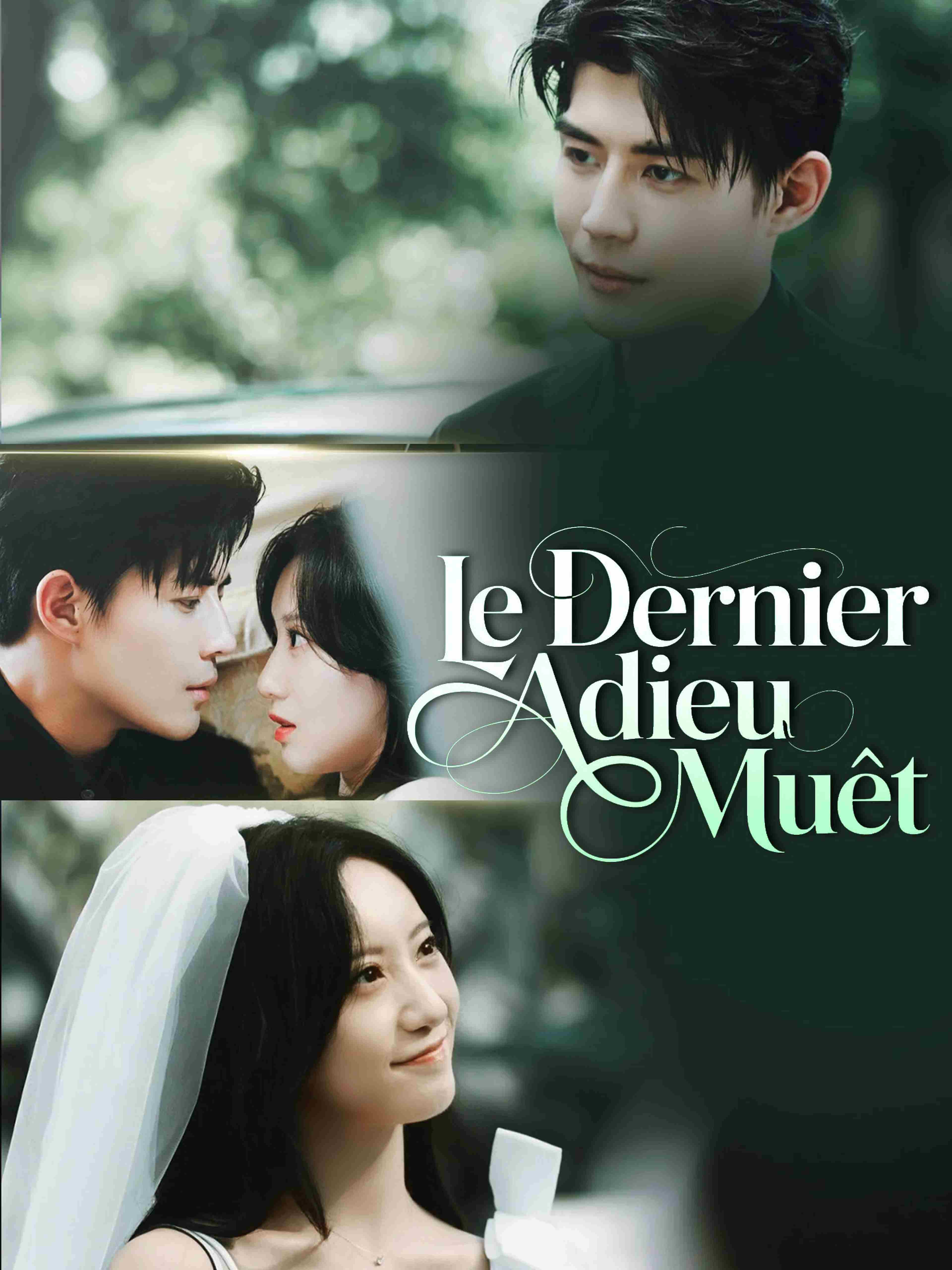 Le Dernier Adieu Muet