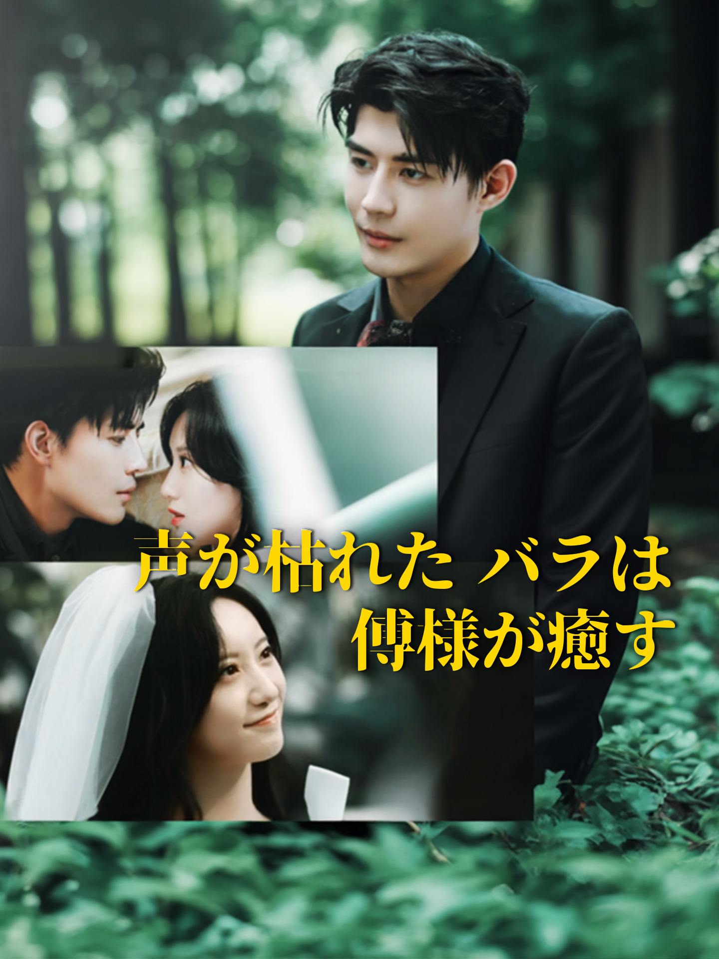 声が枯れたバラは傅様が癒す