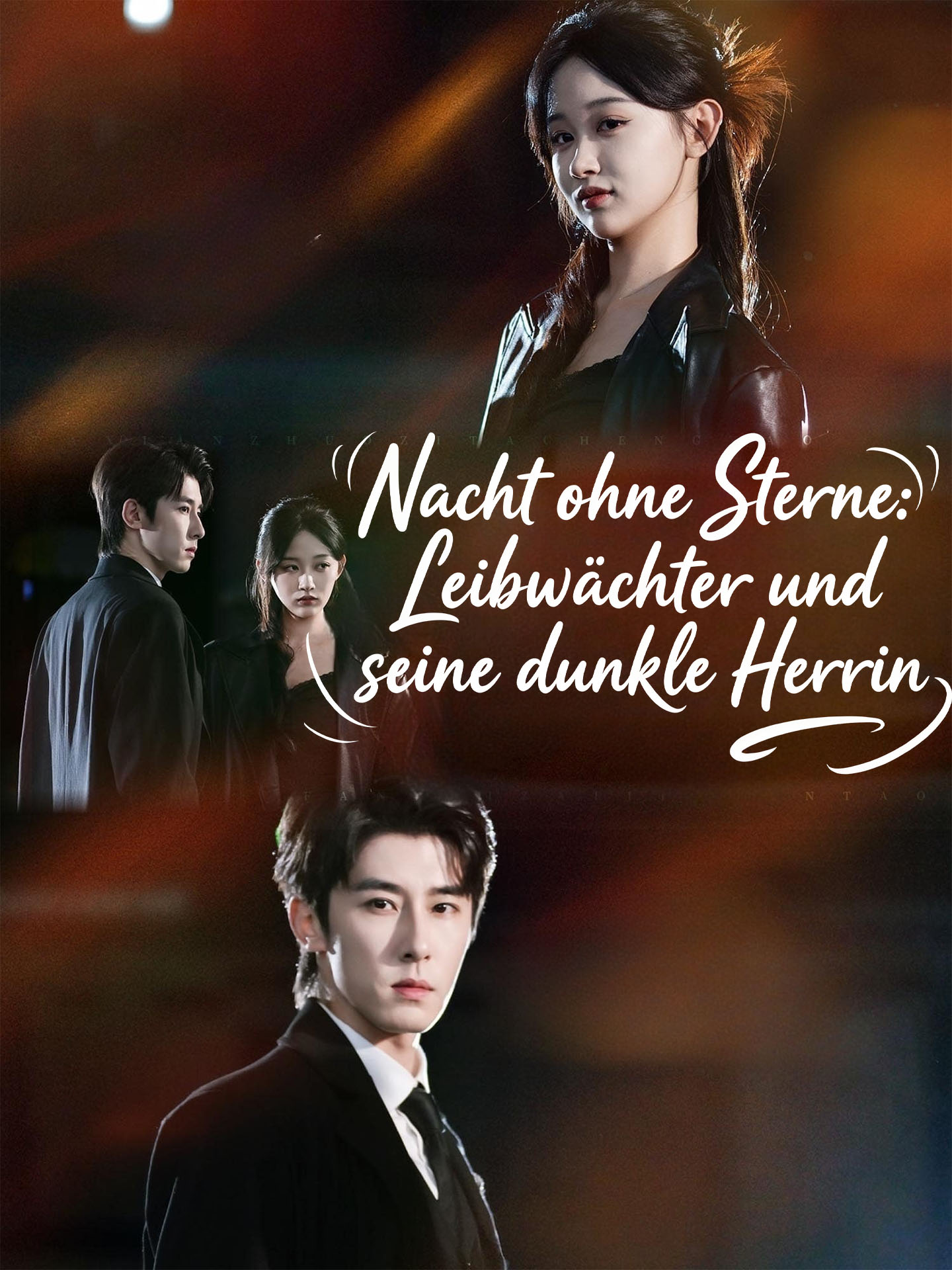 Nacht ohne Sterne: Leibwächter und seine dunkle Herrin