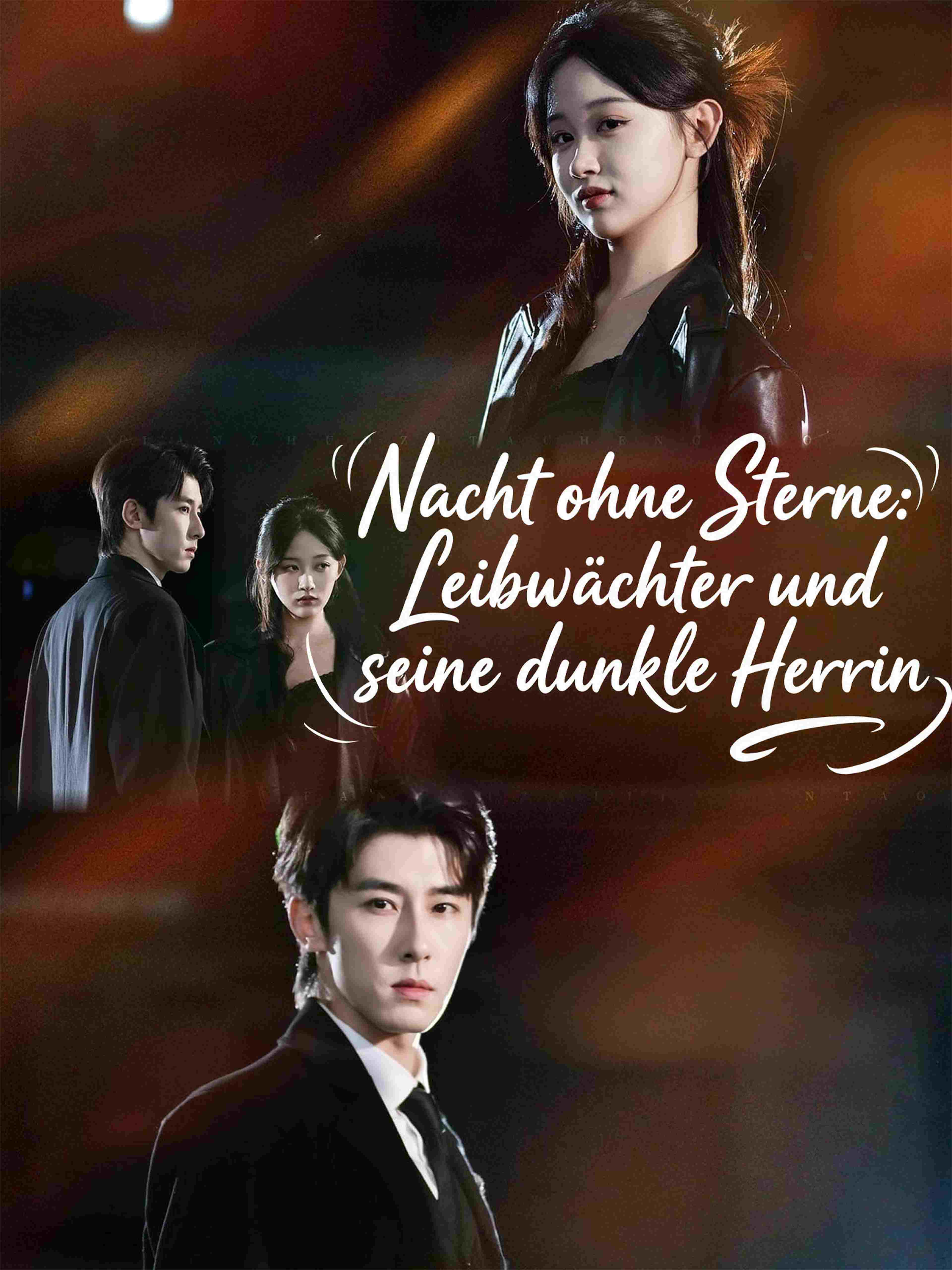 Nacht ohne Sterne: Leibwächter und seine dunkle Herrin