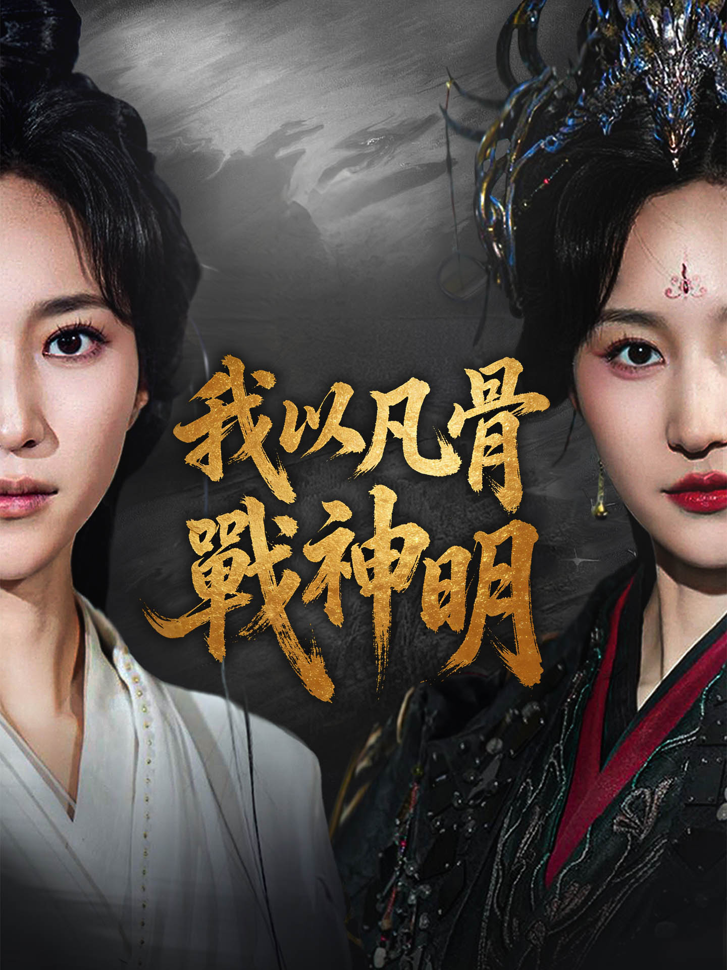 我以凡骨戰神明