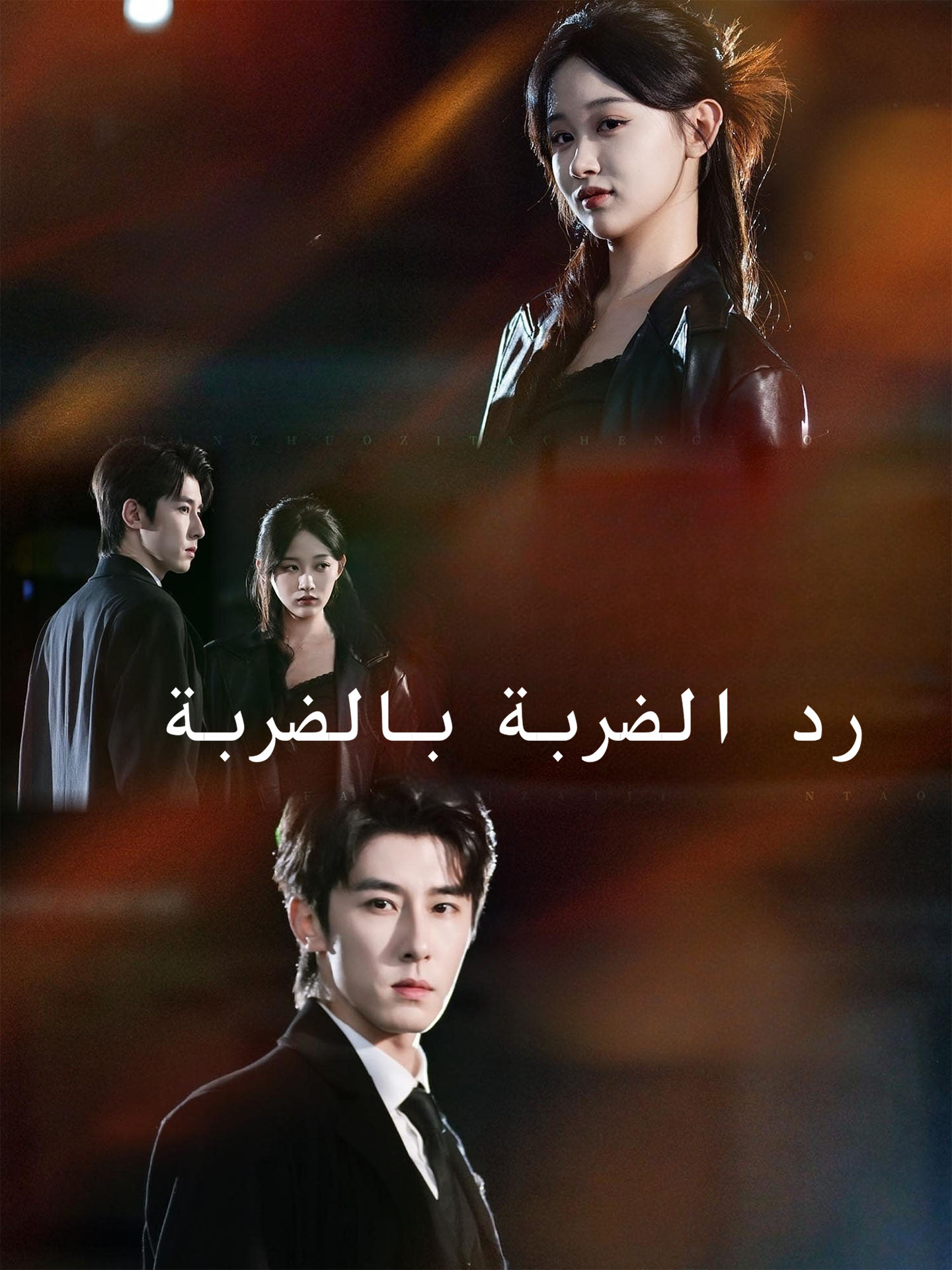 رد الضربة بالضربة