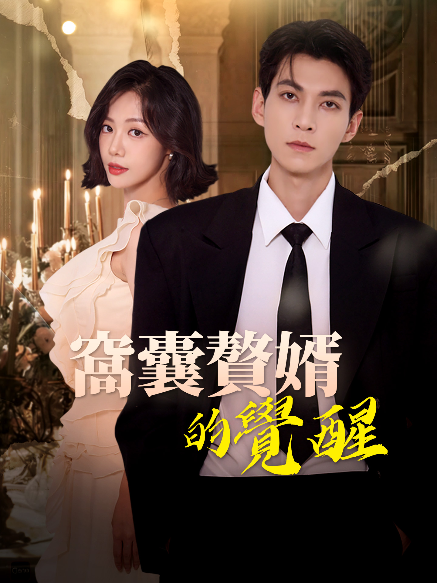 窩囊贅婿的覺醒