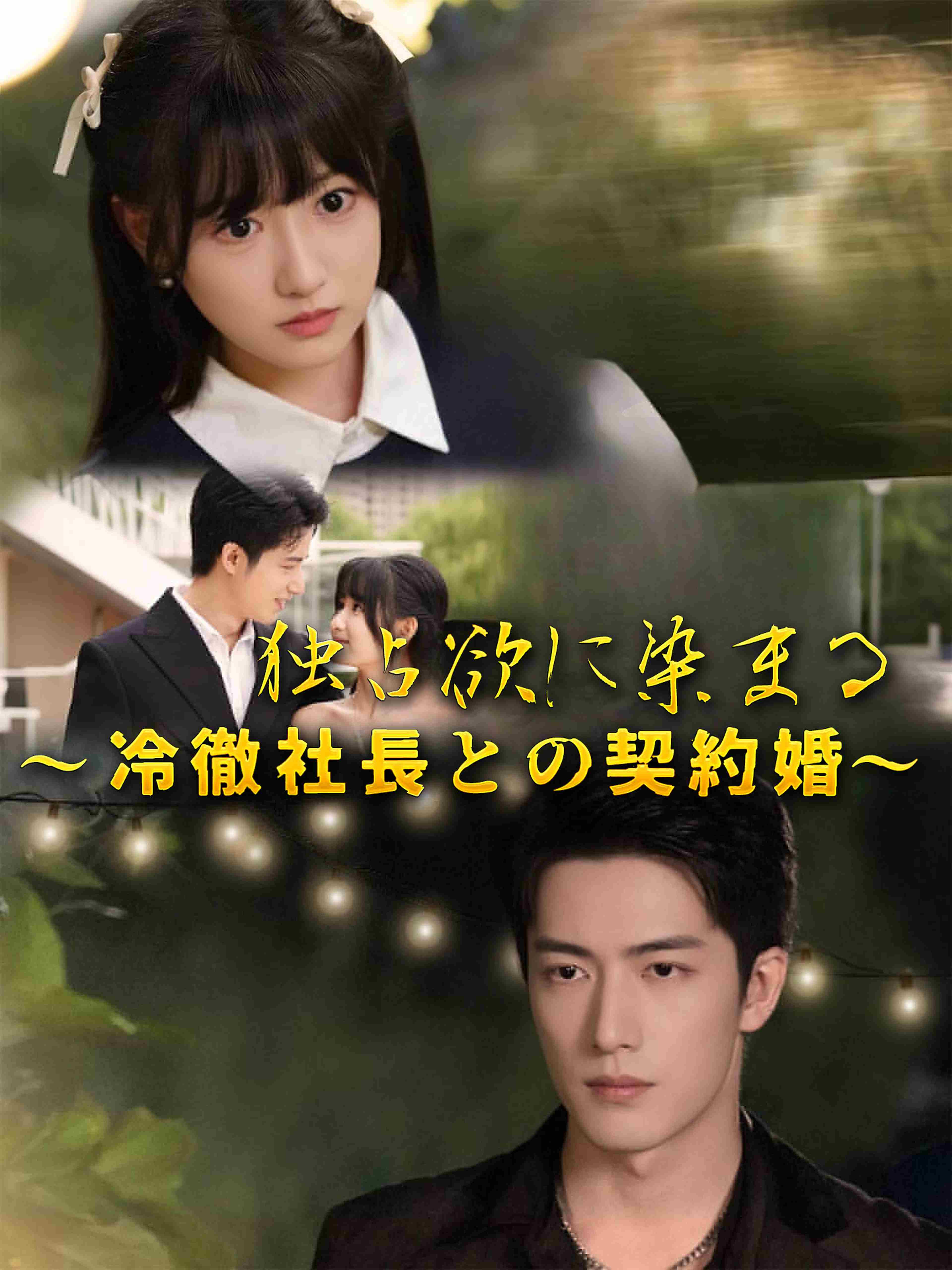 独占欲に染まる～冷徹社長との契約婚～