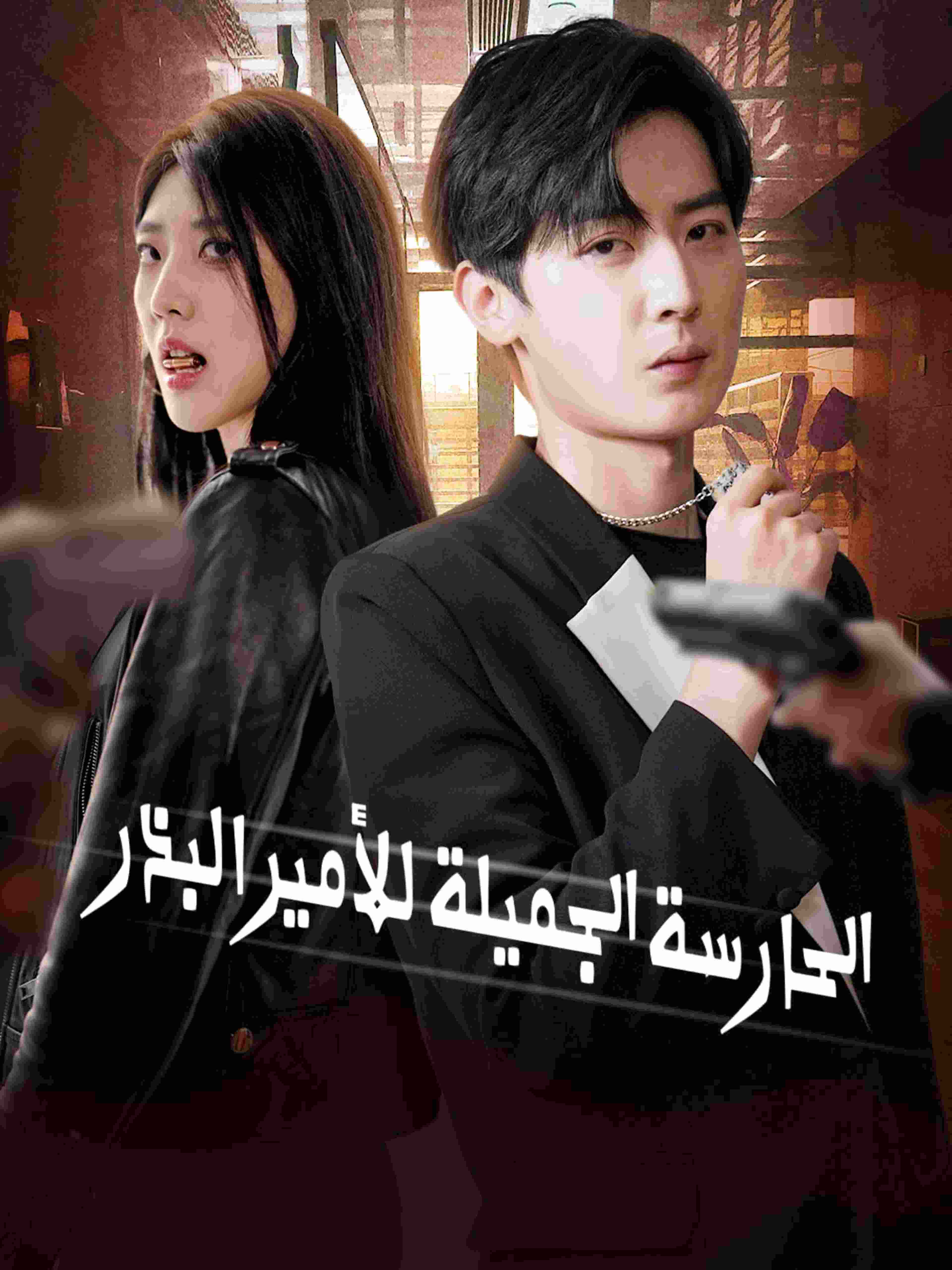الحارسة الجميلة للأمير البذر