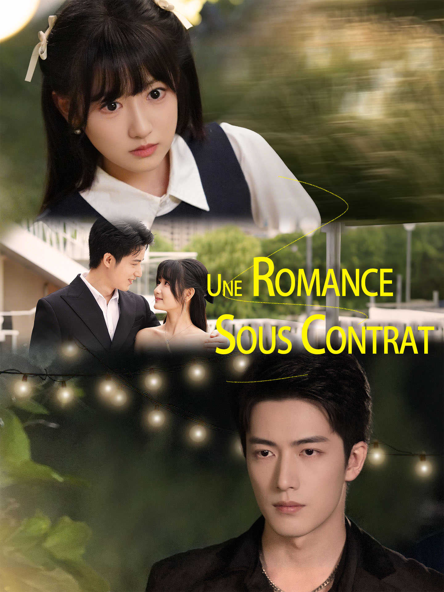 Une Romance Sous Contrat