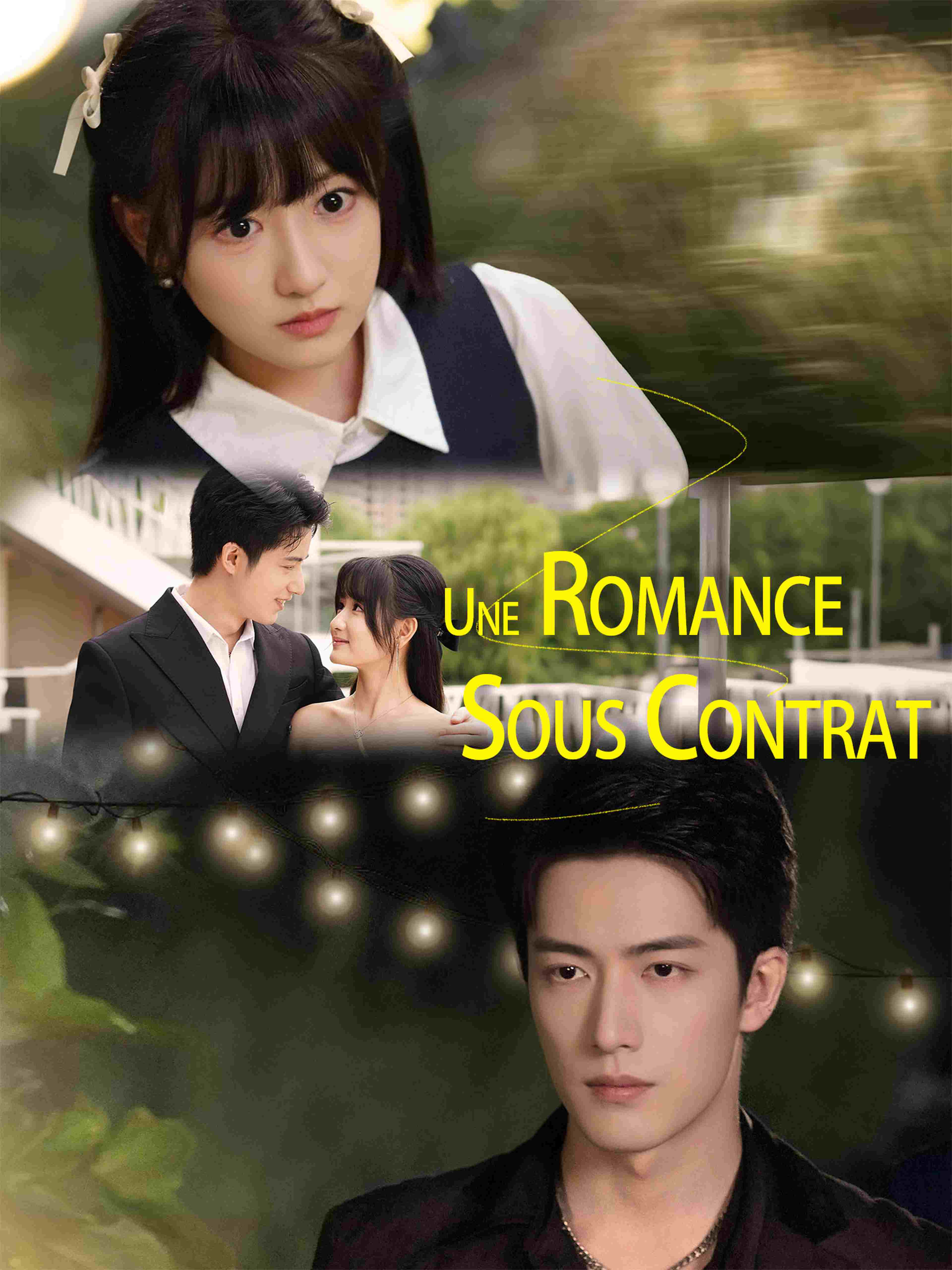 Une Romance Sous Contrat