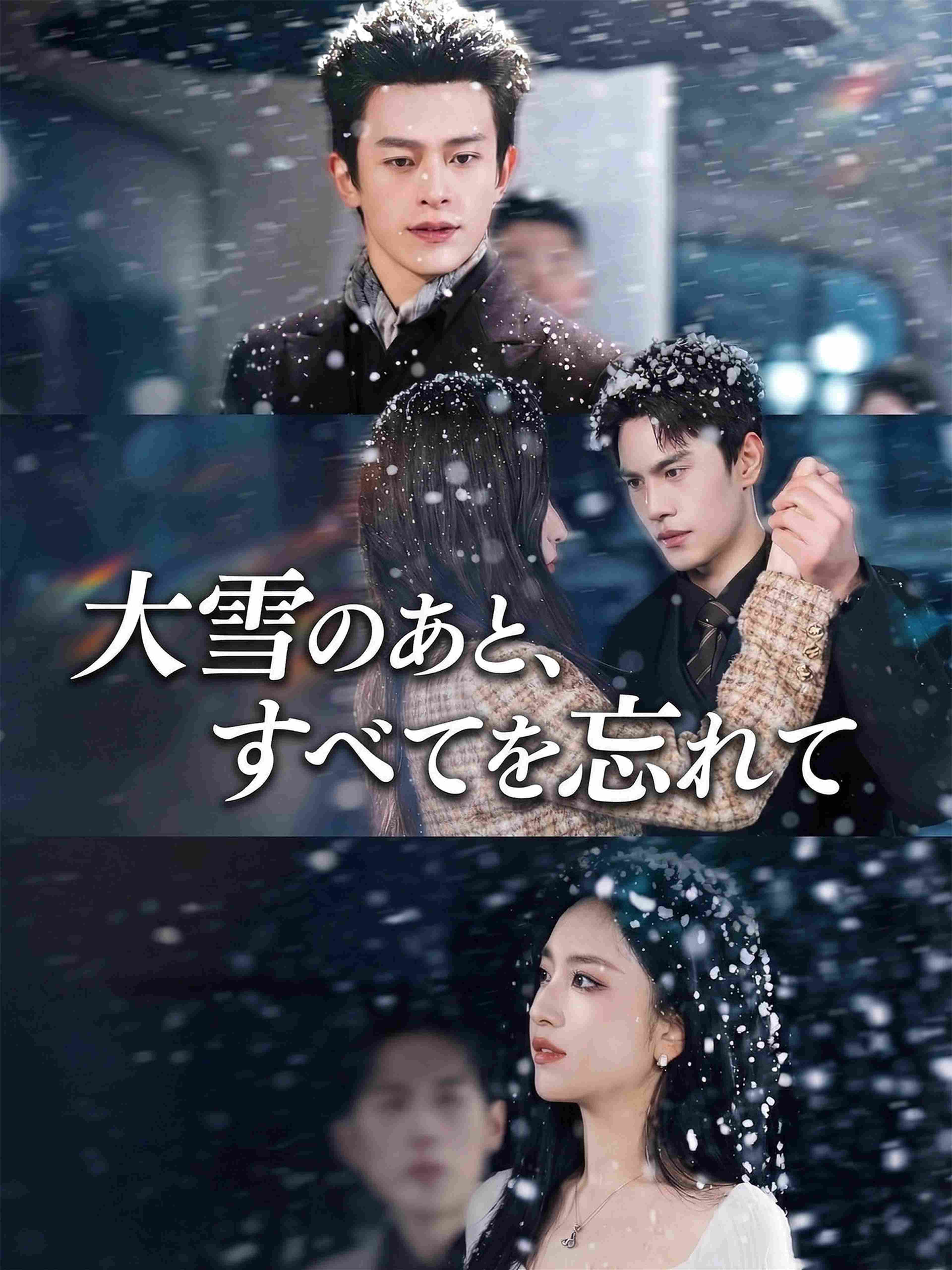 大雪のあと、すべてを忘れて