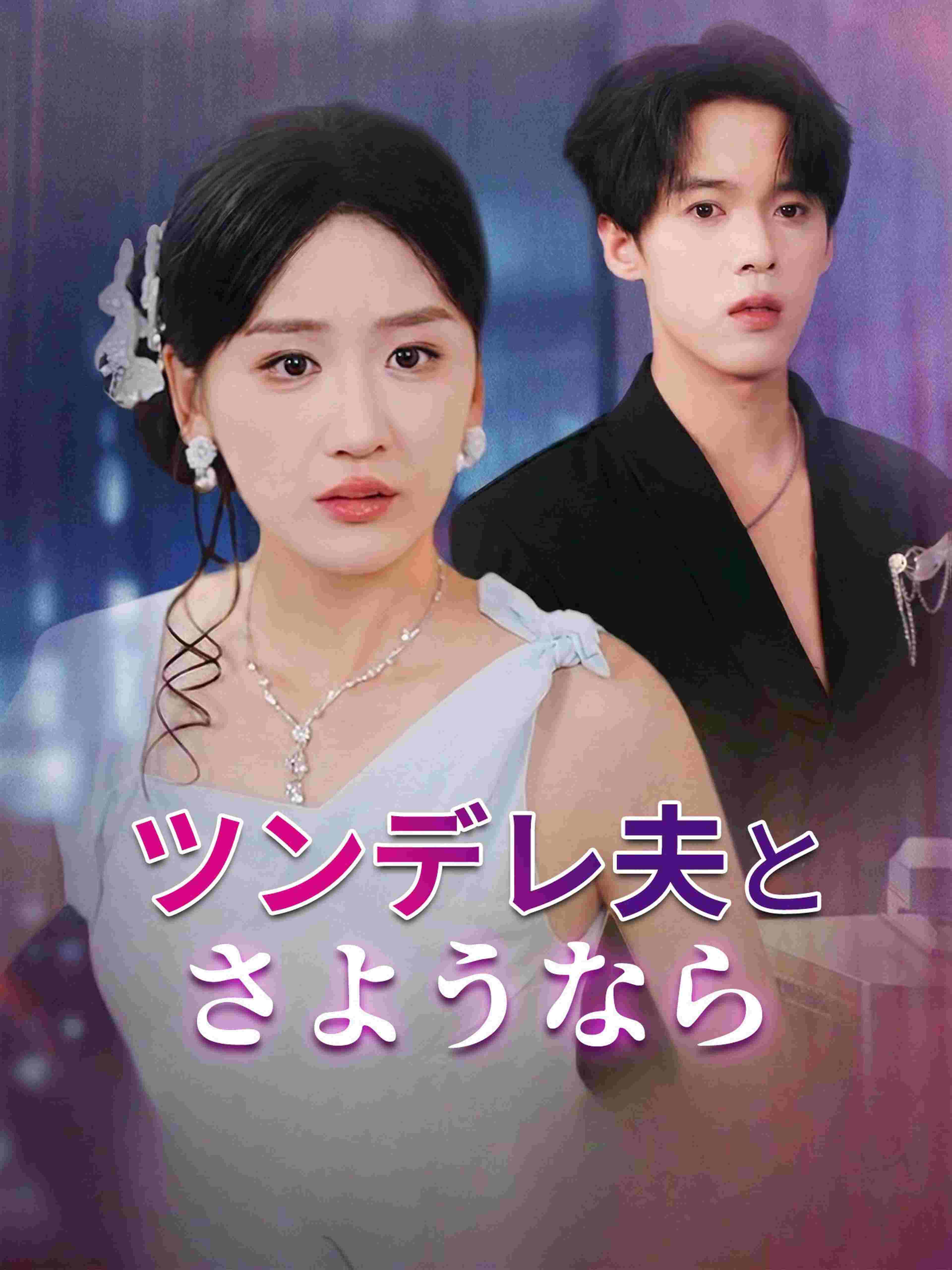 ツンデレ夫とさようなら