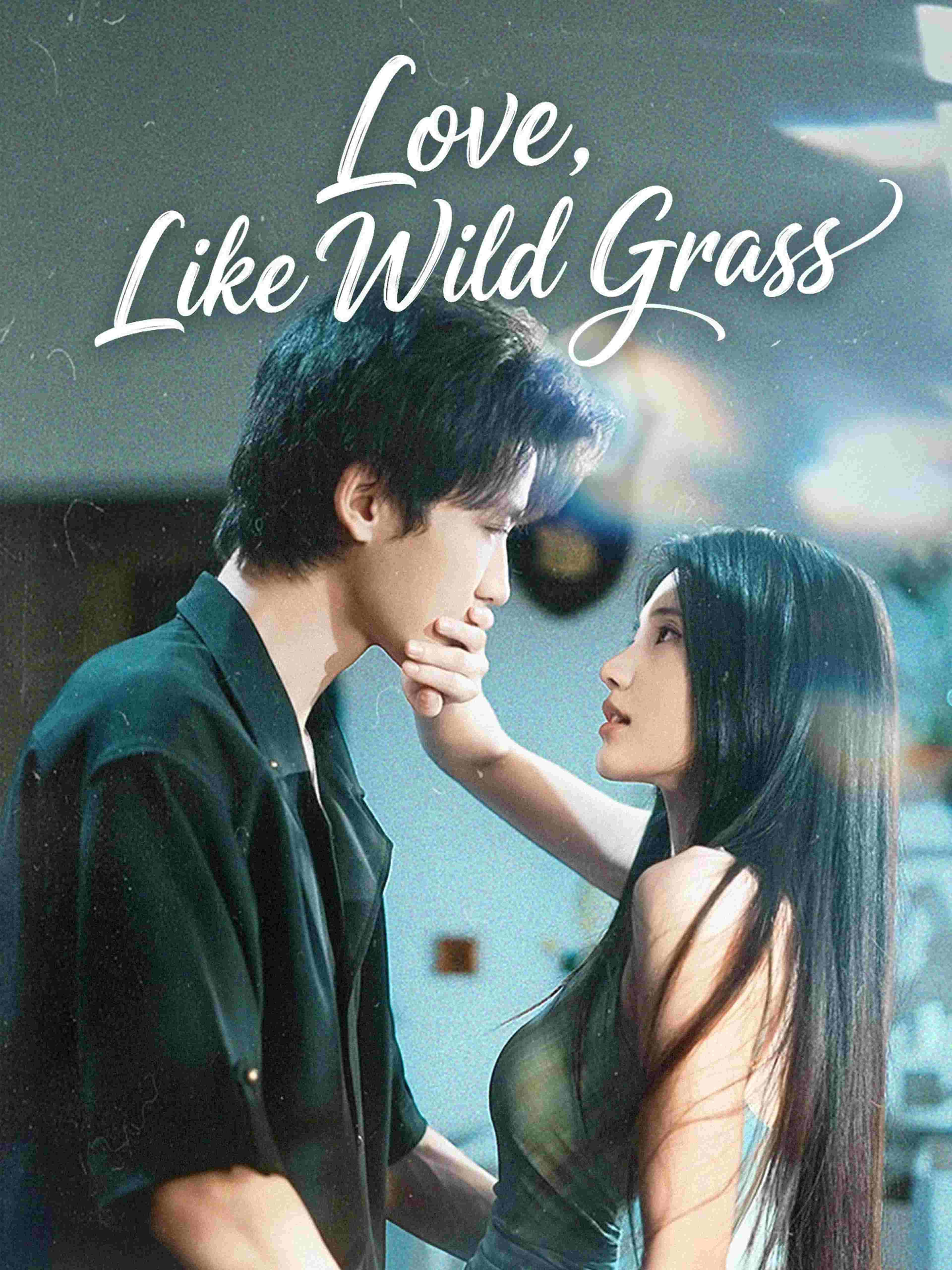 Love Like Wild Grass