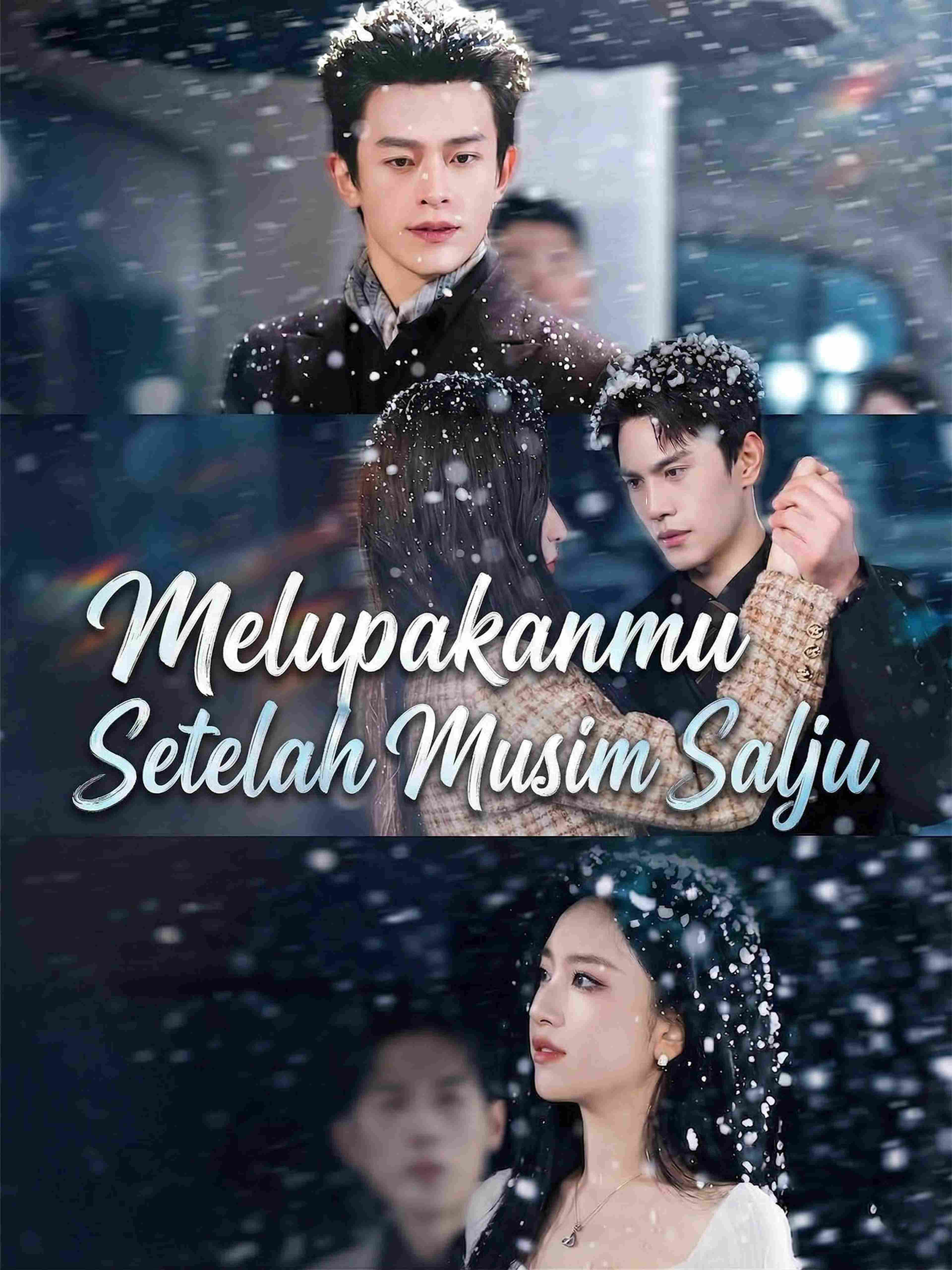 Melupakanmu Setelah Musim Salju