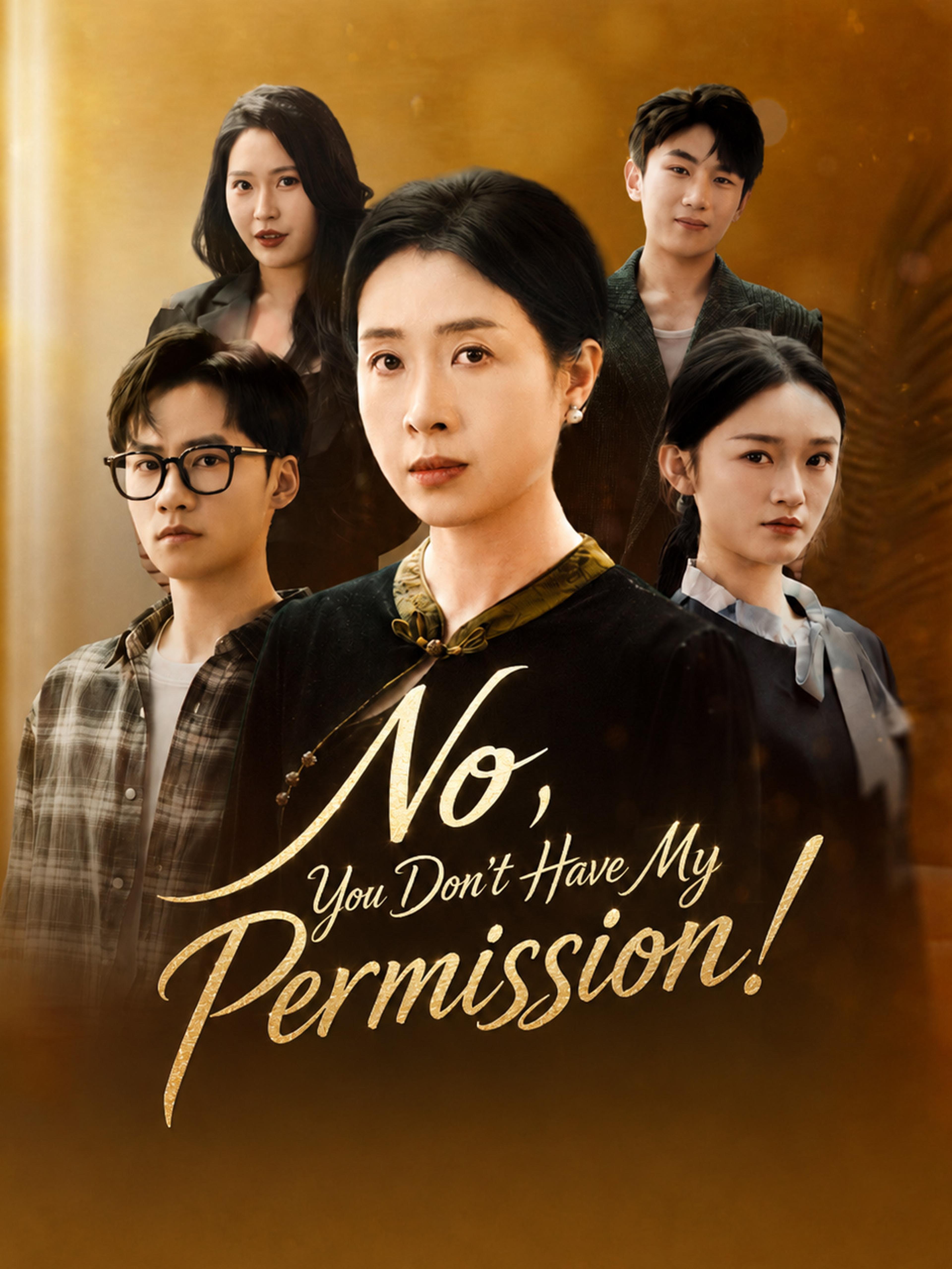 No You Don T Have My Permission