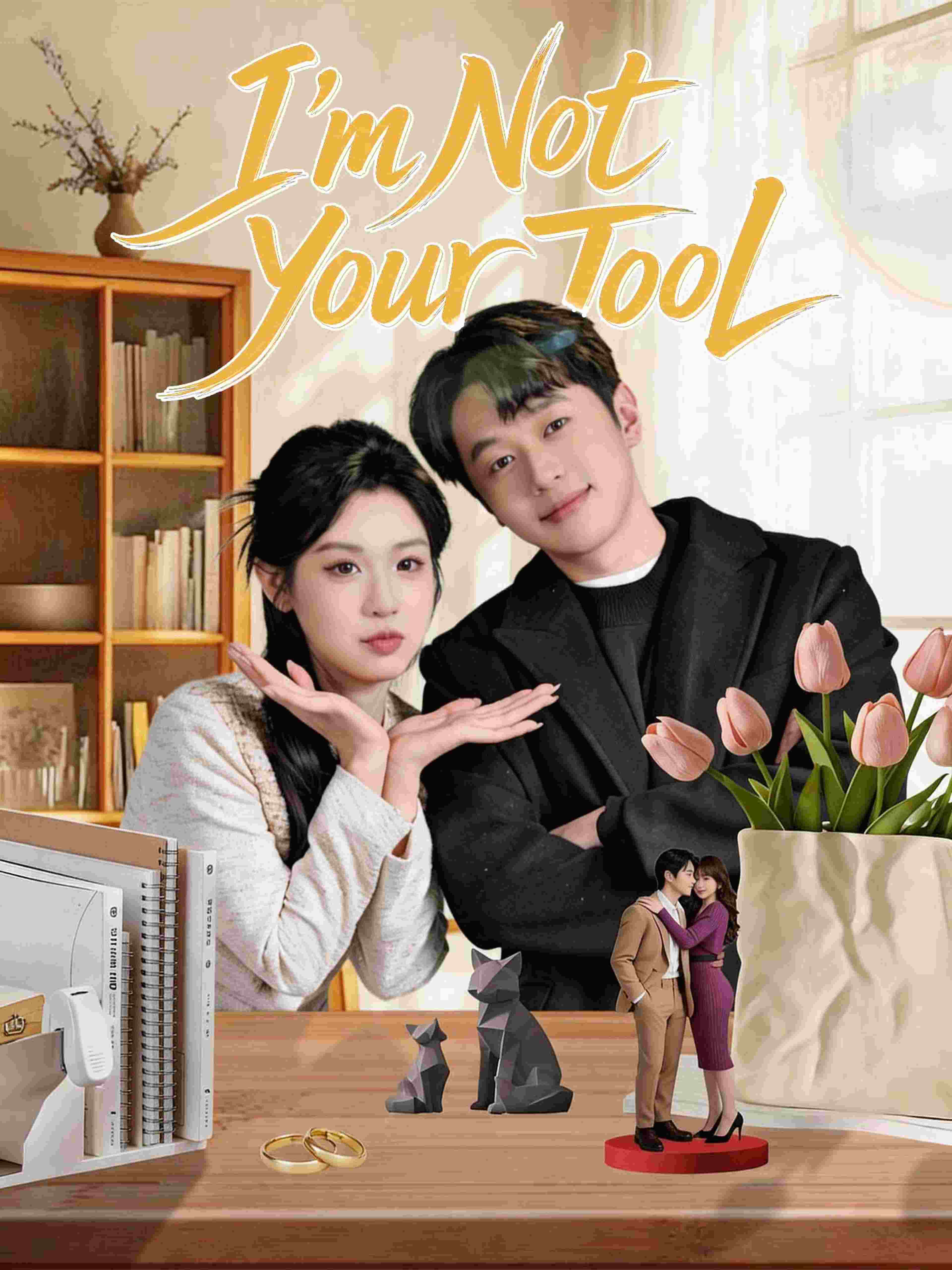 I M Not Your Tool