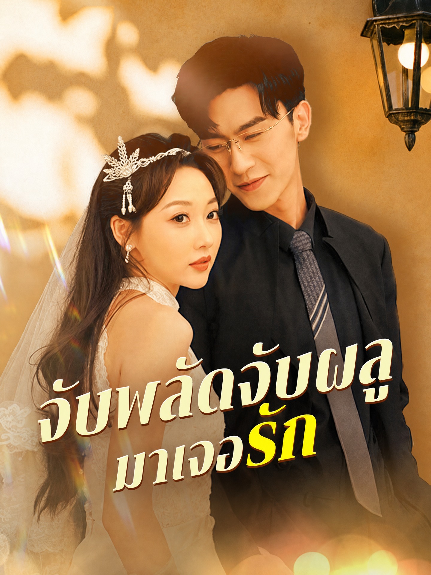 จับพลัดจับผลูมาเจอรัก