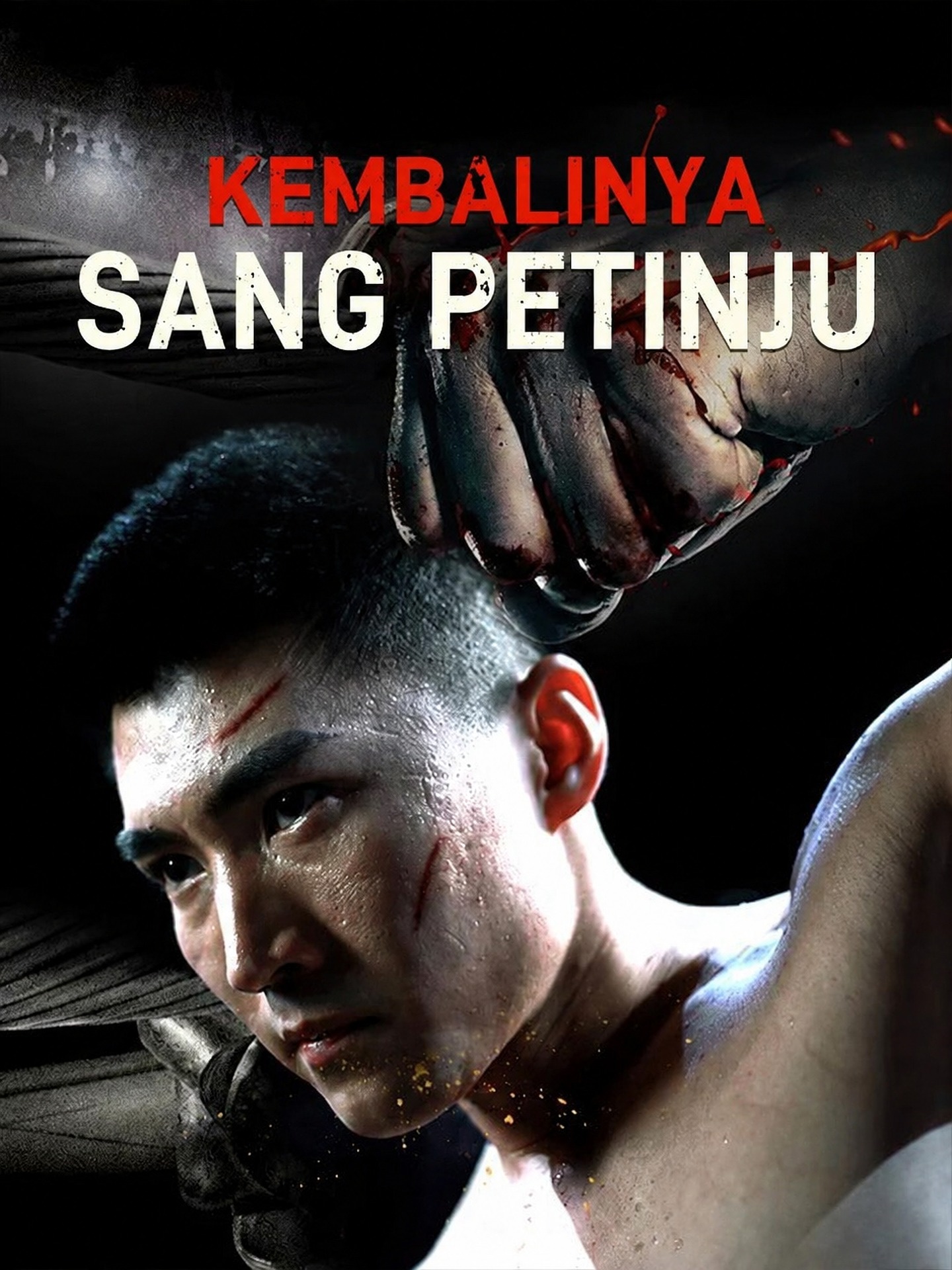 Kembalinya Sang Petinju