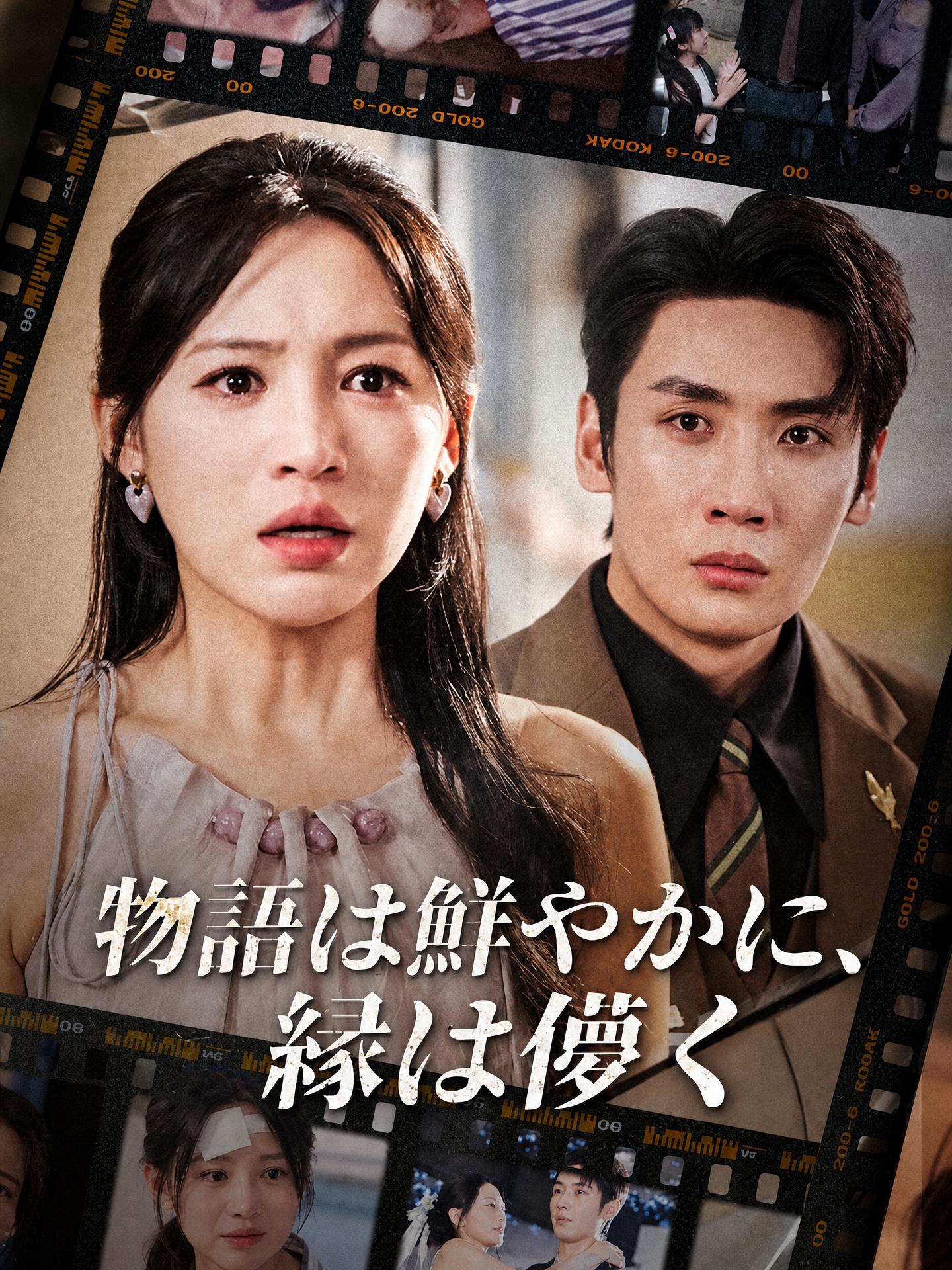  物語は鮮やかに、縁は儚く（吹き替え）