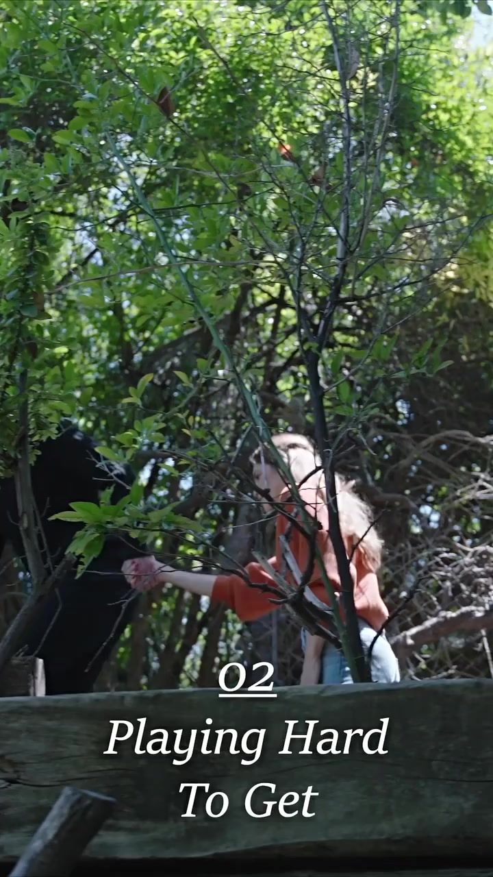 Episode 46