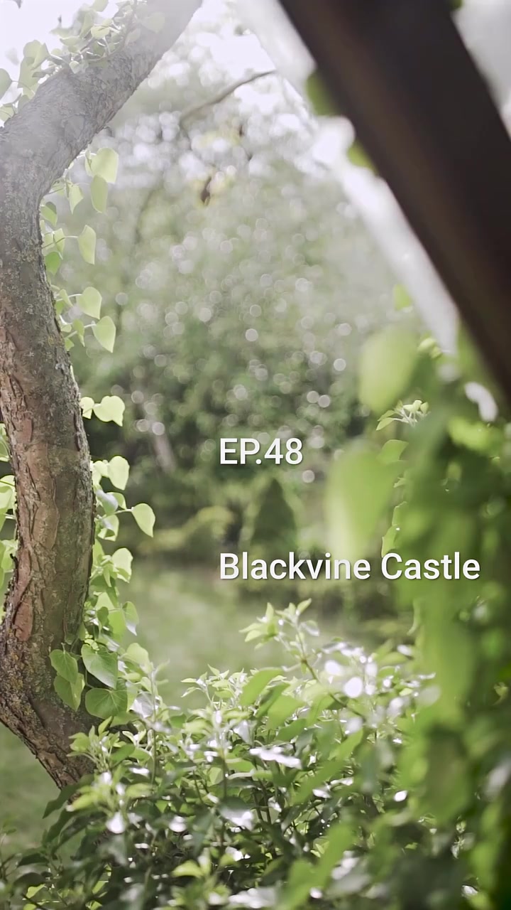 Episode 48