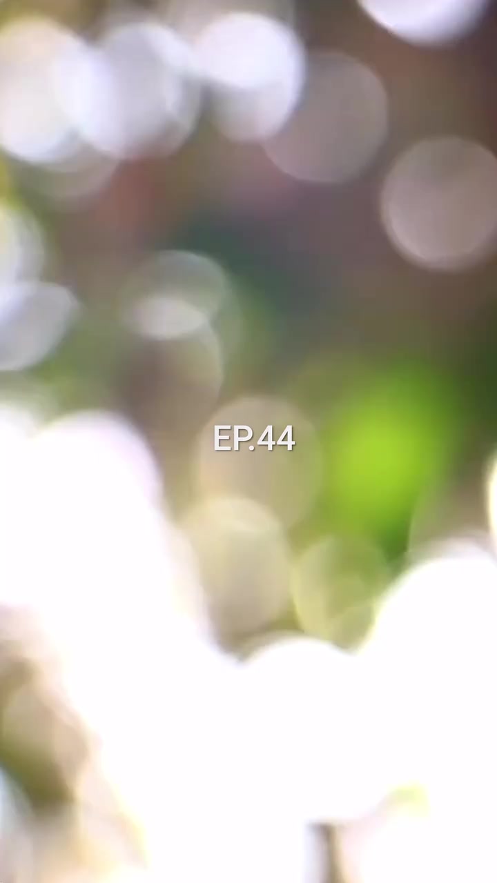 Episode 44