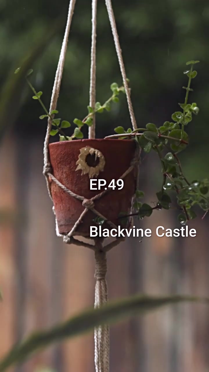 Episode 49