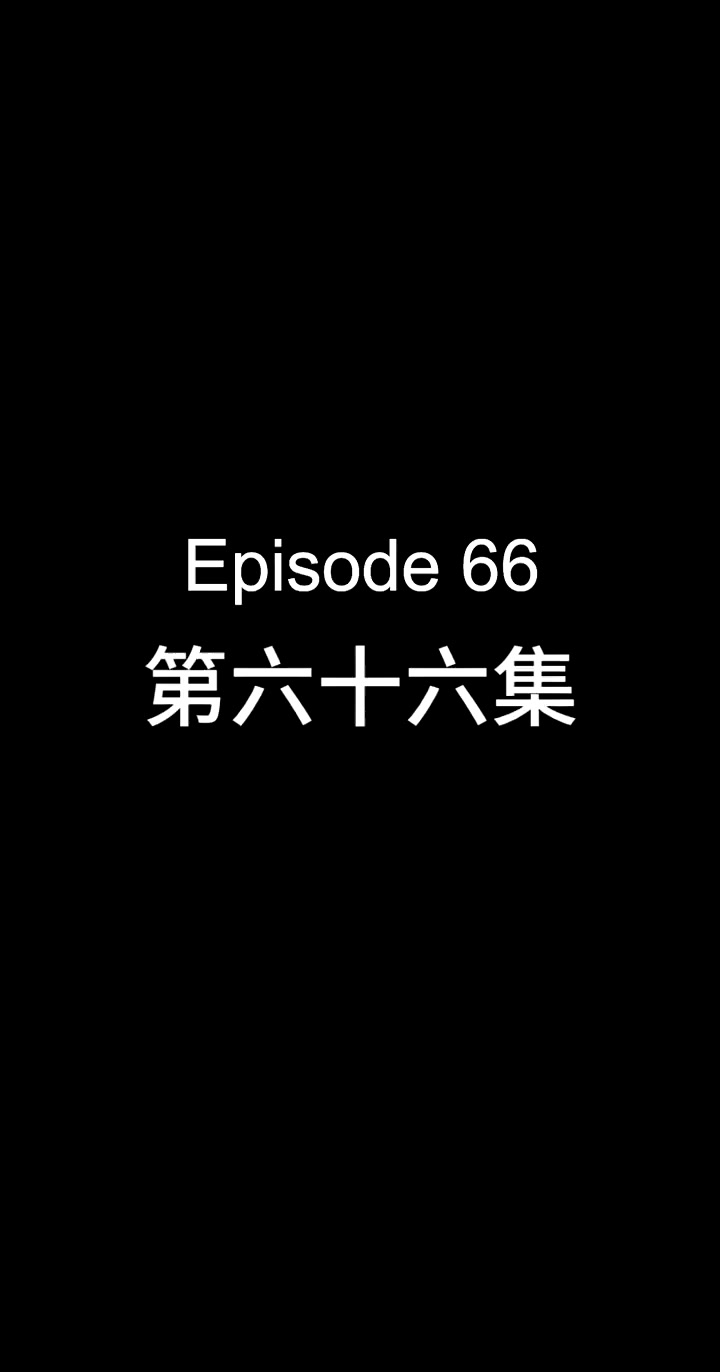 066