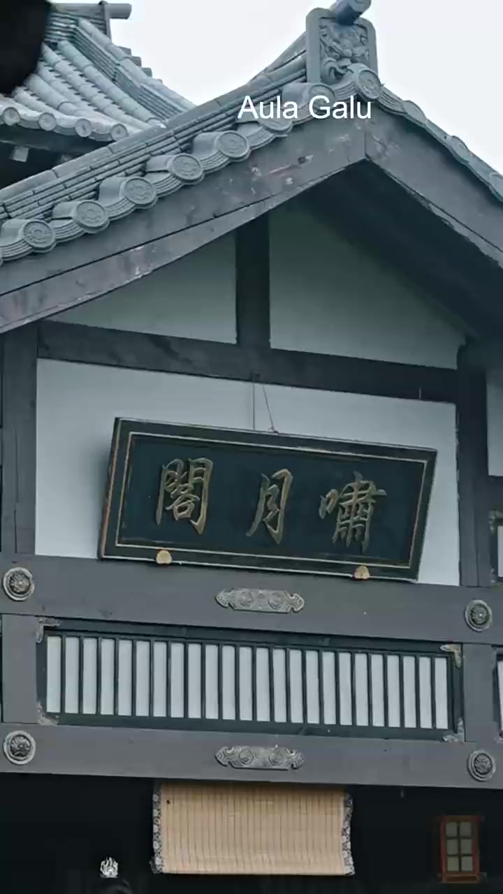 006