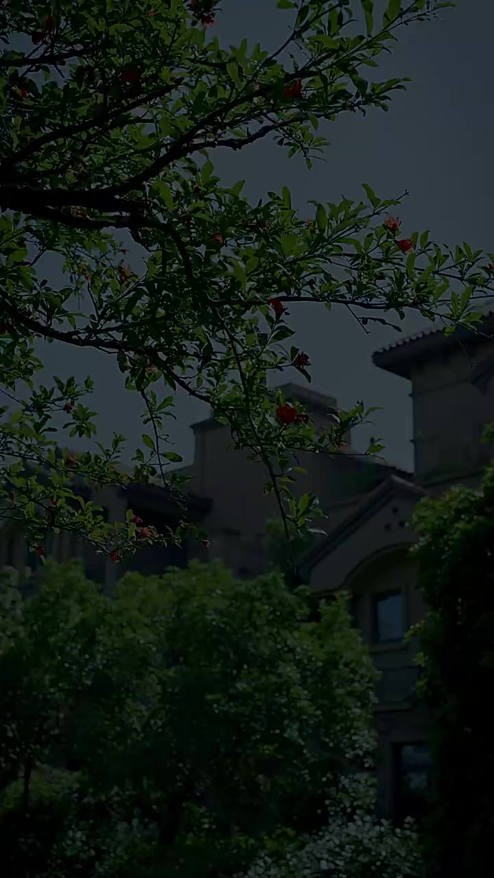 Episode 40