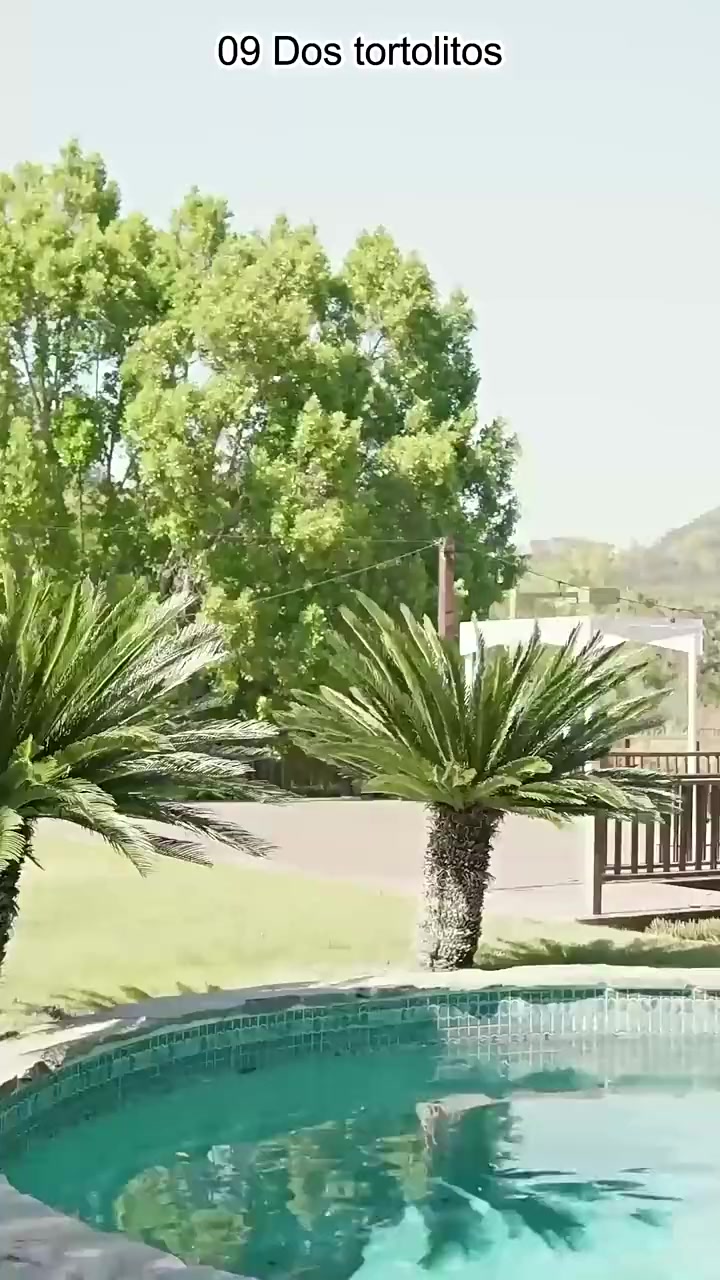 009