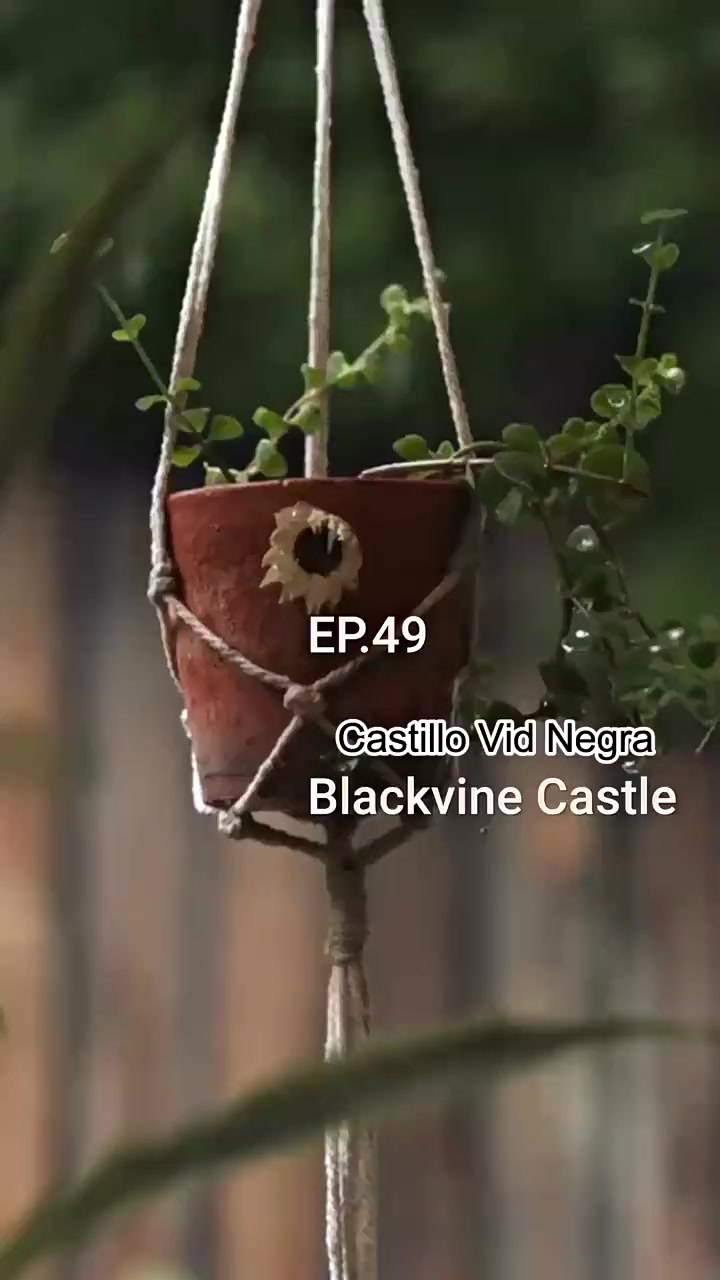 Episode 49