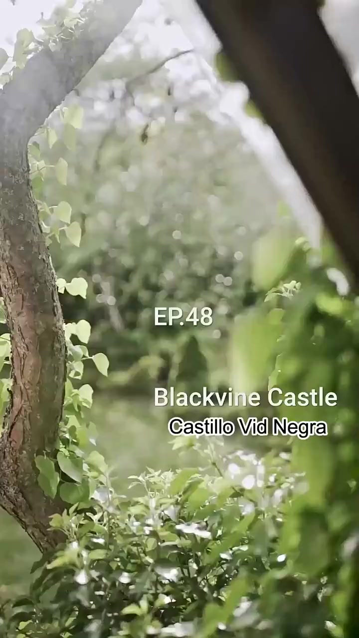 Episode 48