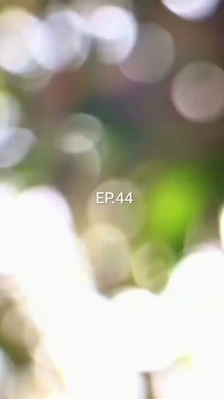 Episode 44