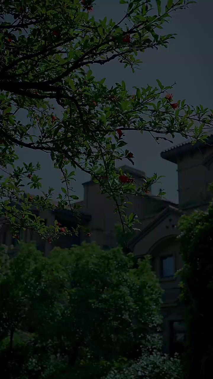 Episode 40