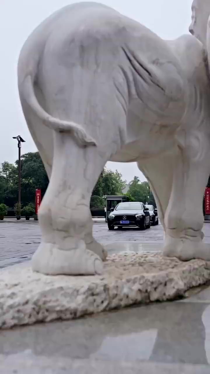 007