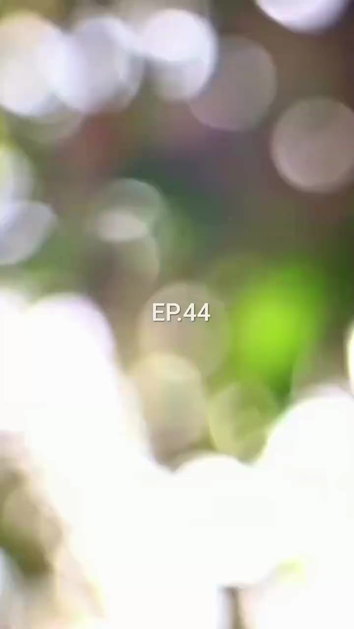 Episode 44