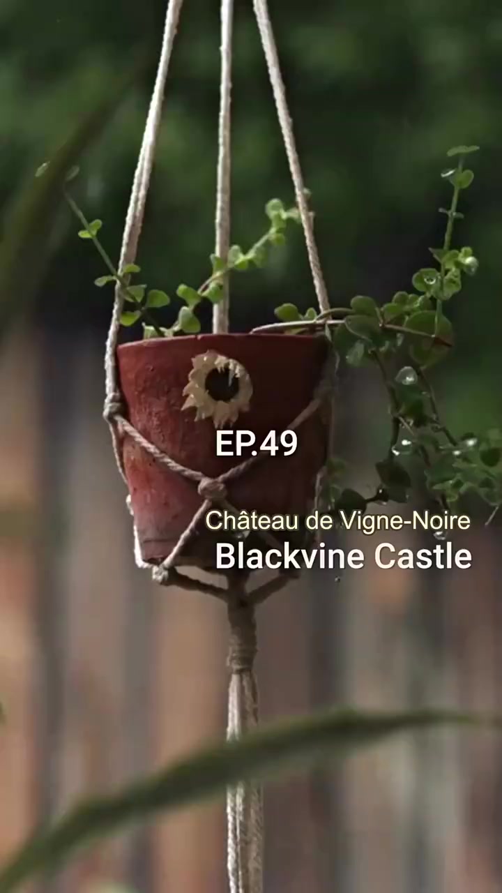 Episode 49