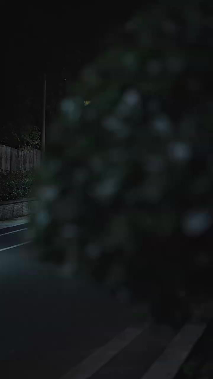009