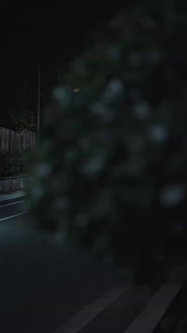 009